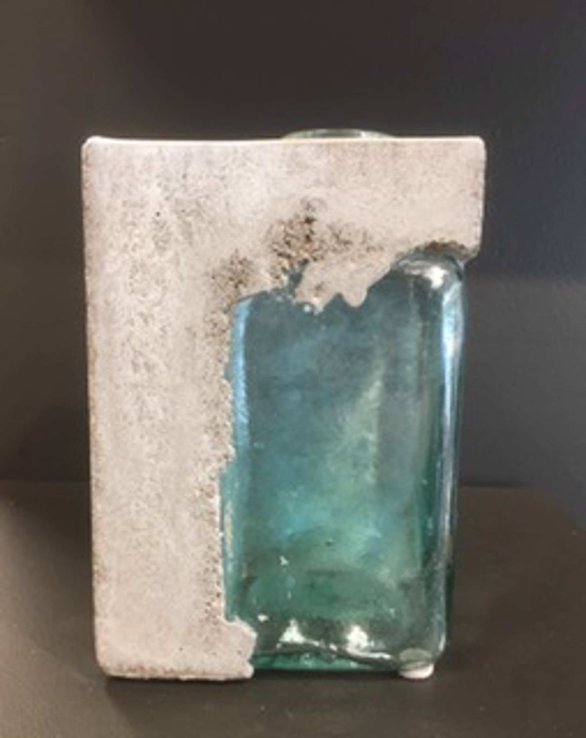 Relic Medium by Amy Greving