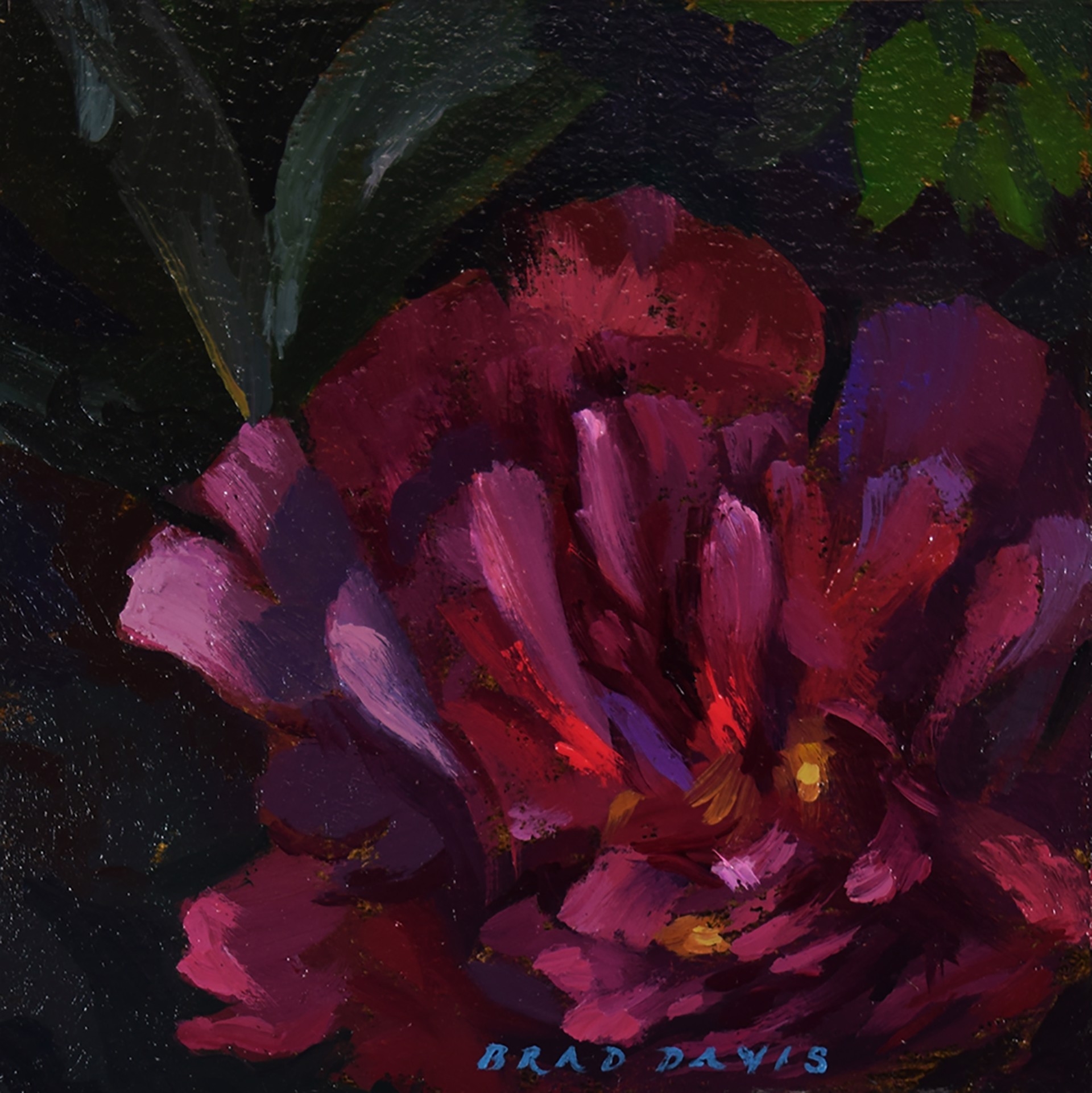 June Bloom by Brad Davis
