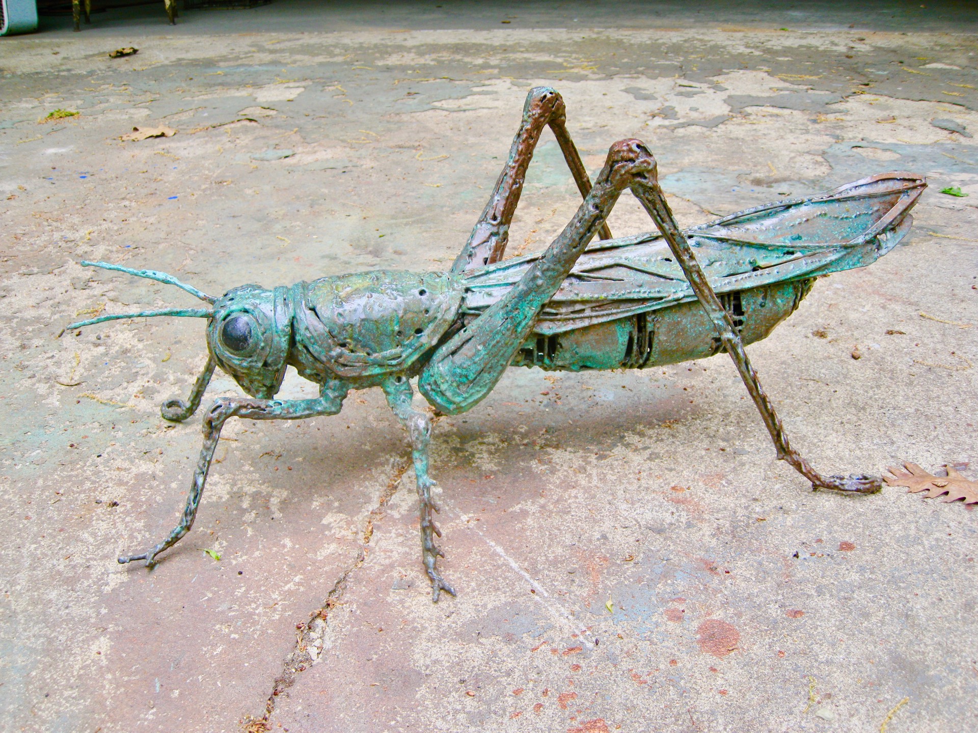 Grasshopper by William Allen
