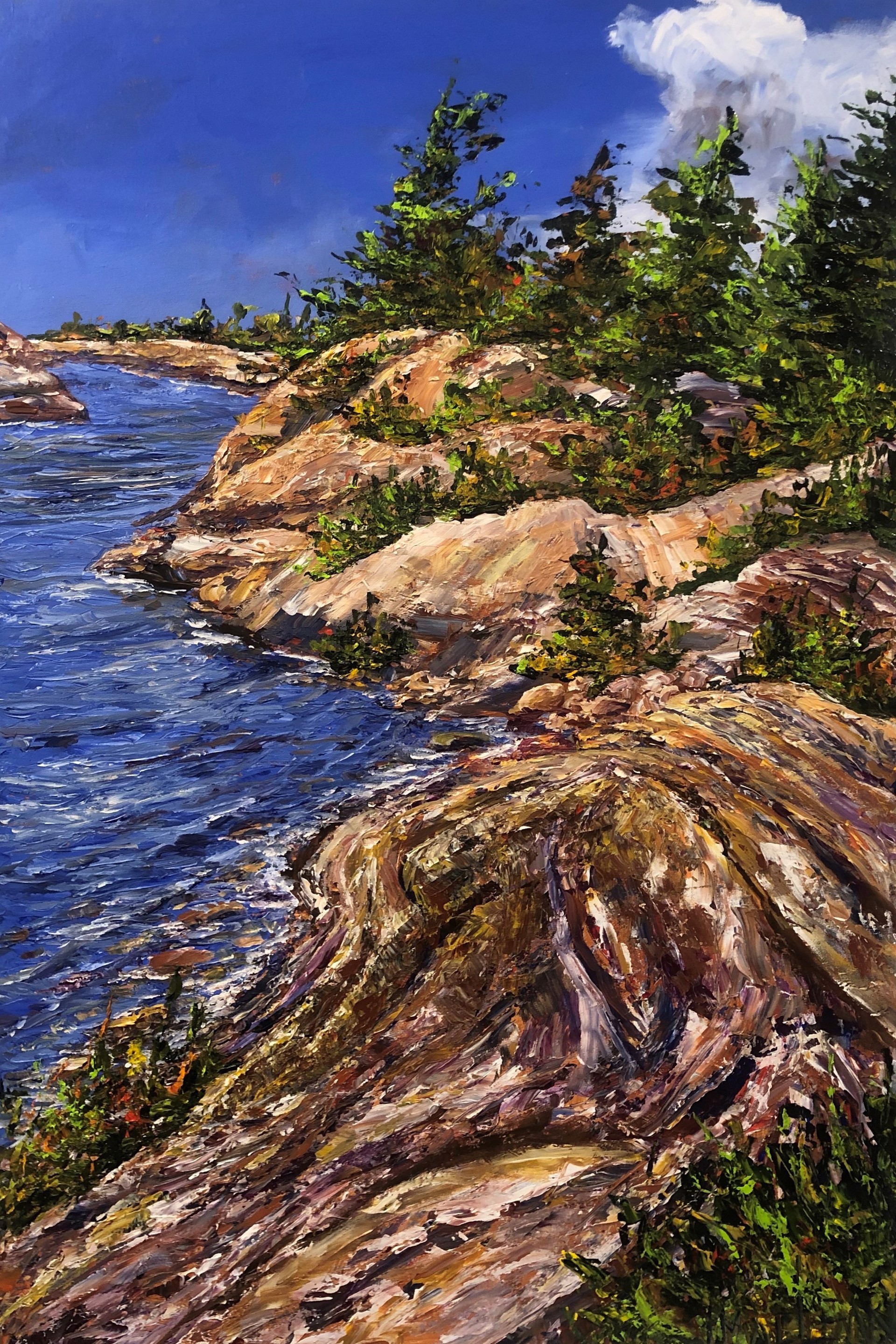 Georgian Bay Rocks by Jamie MacLean