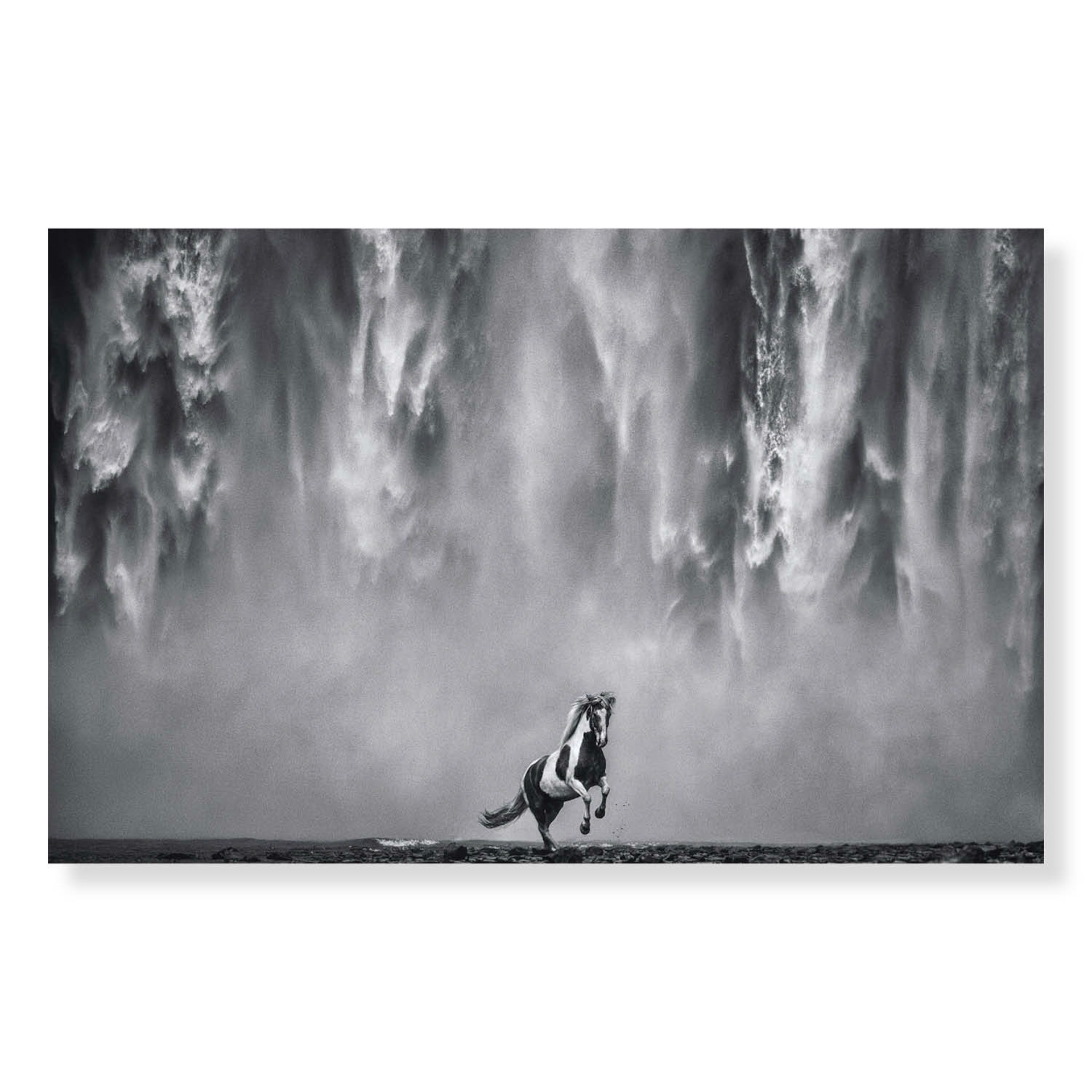Legends of the Fall by David Yarrow