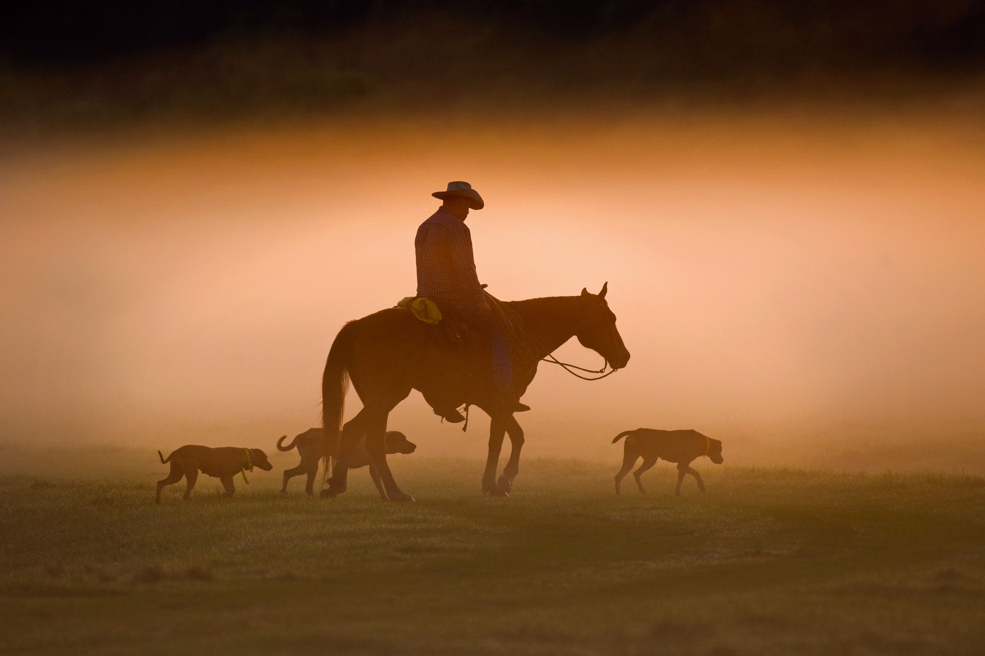 Seminole Ranch Dawn I by Carlton Ward Photography