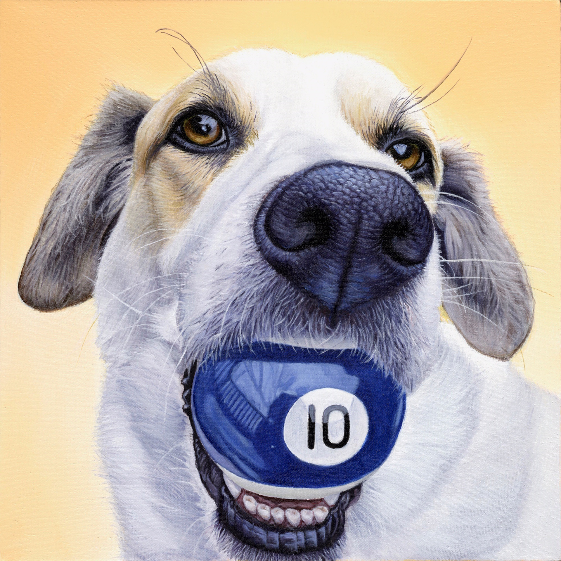 "10" by PET PORTRAITS by James Ruby