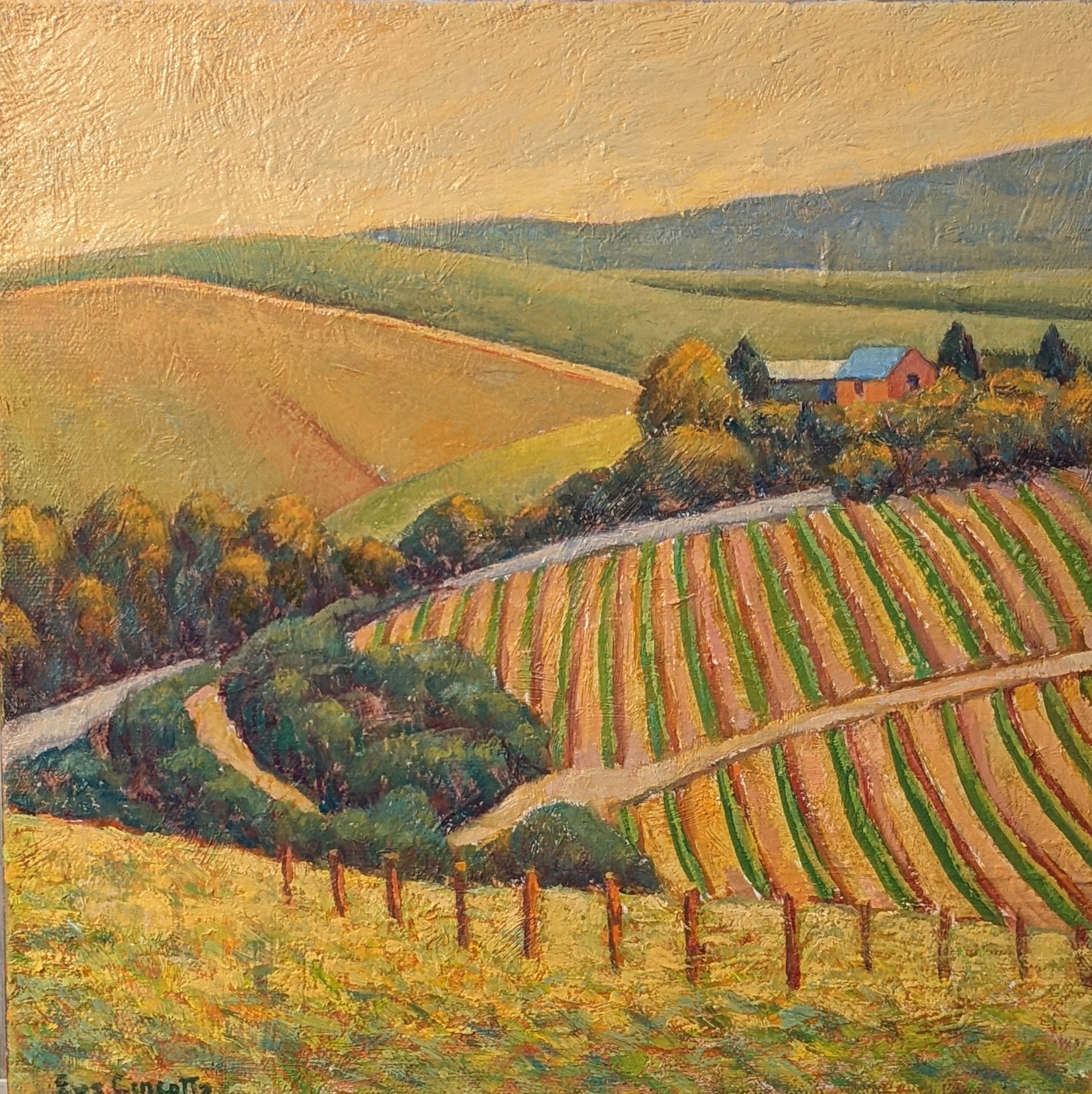 Vineyard View by Eva Cincotta
