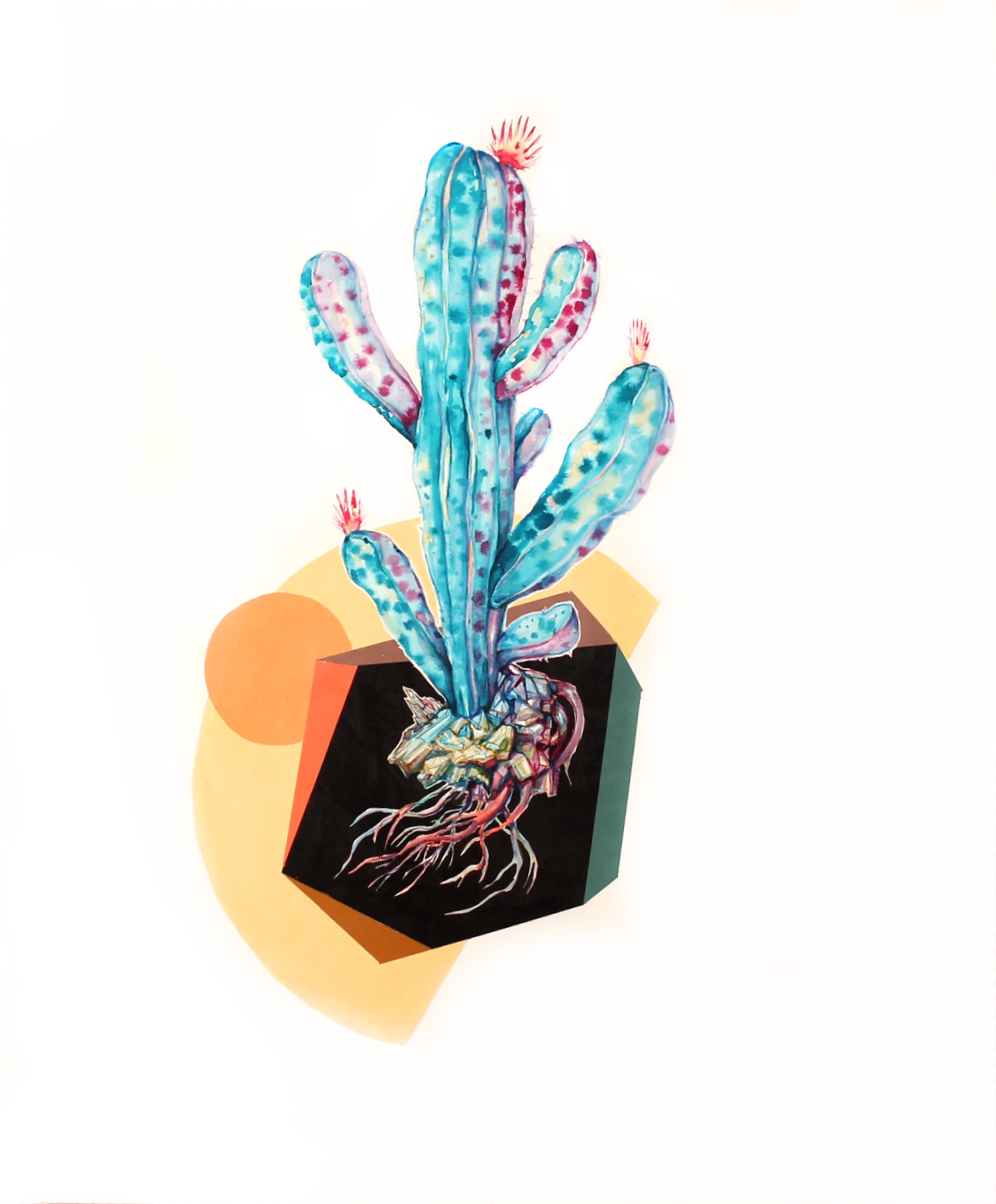 Rainbow Cactus II by Todd Ryan White
