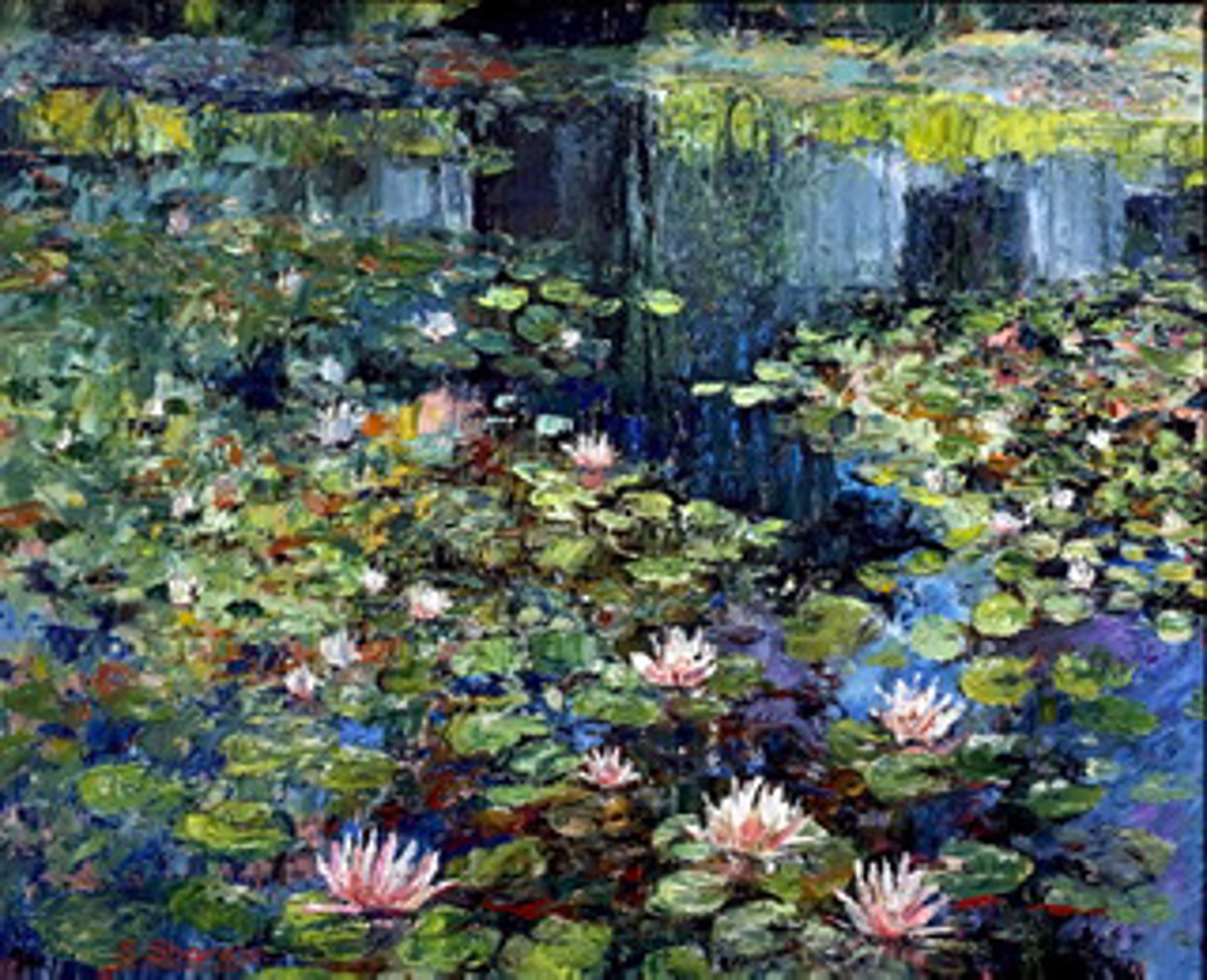Water Lily Pond by Svetlana Shorey
