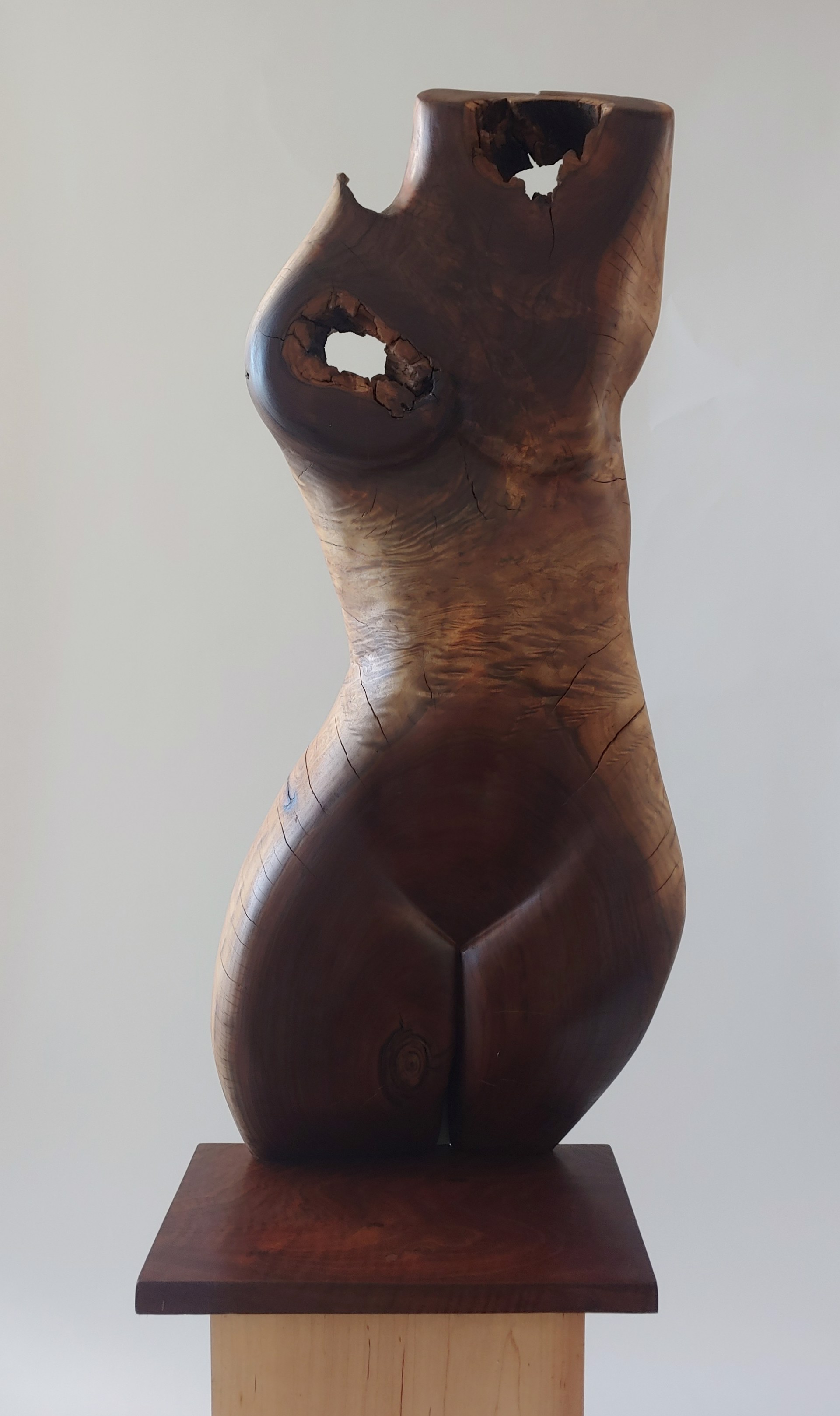 Torso #1 - Wood Sculpture by David Amdur