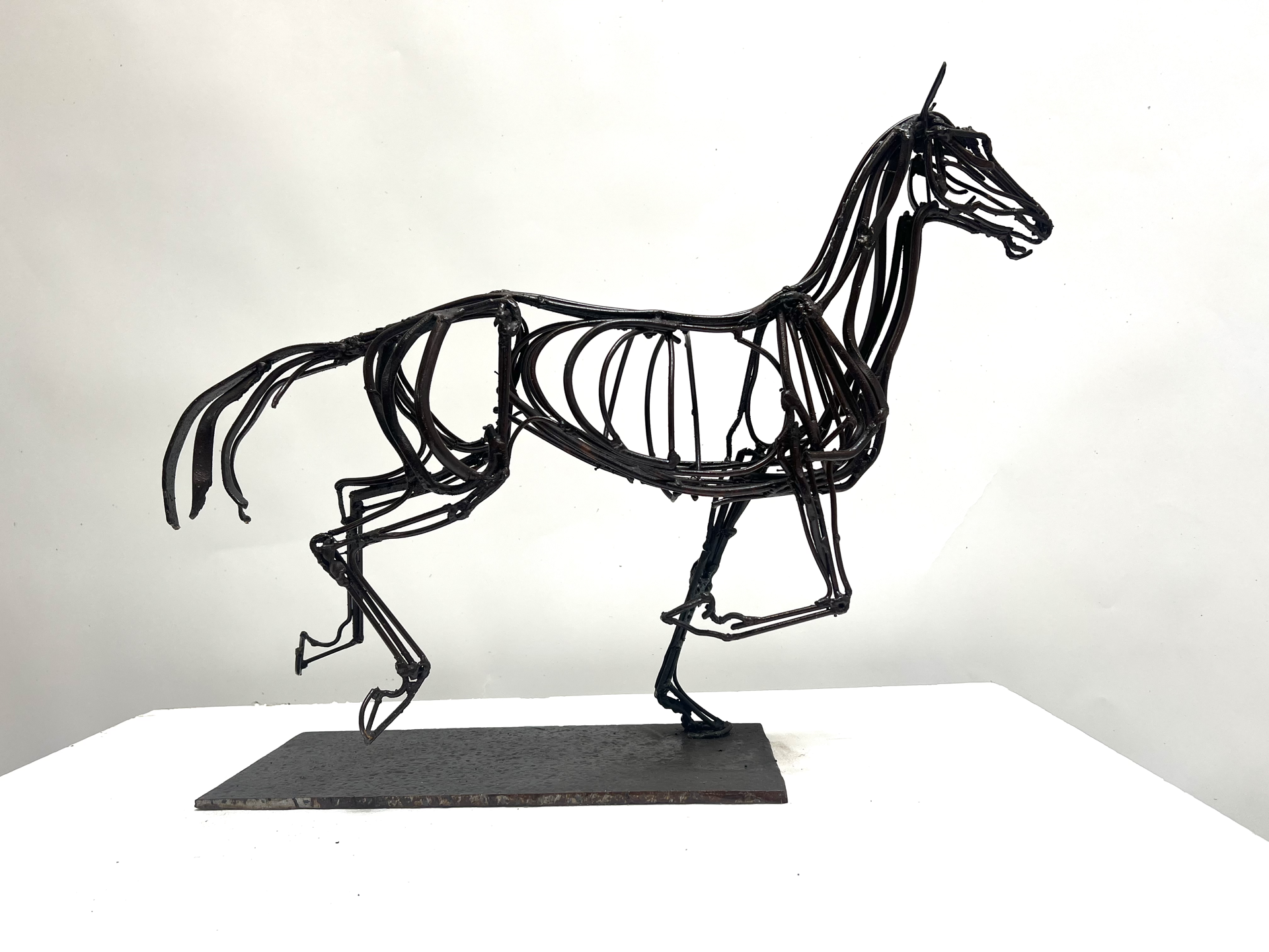 Muybridge Small Galloping Horse by Wendy Klemperer