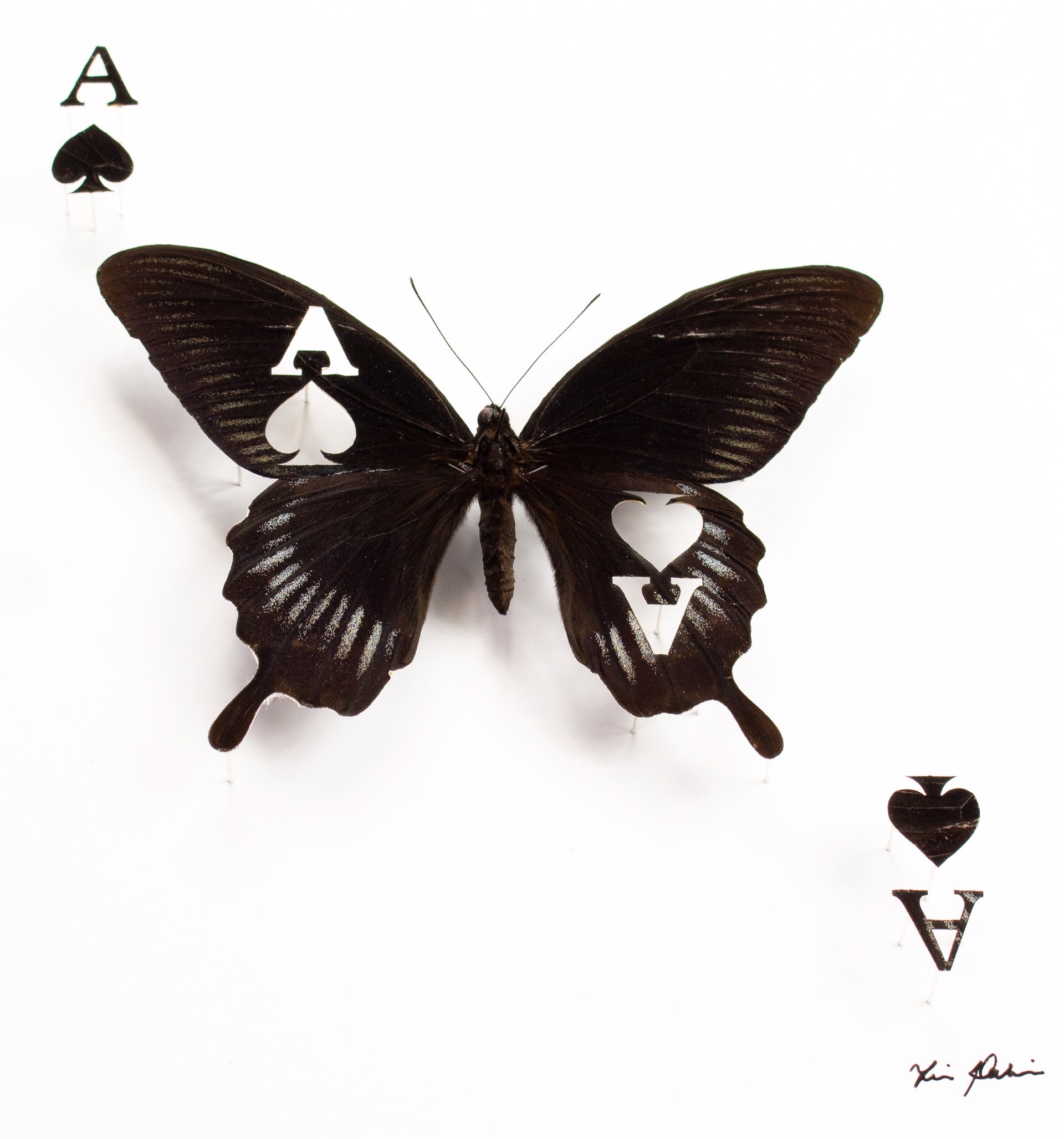 Chance 1 by Fiona Parkinson