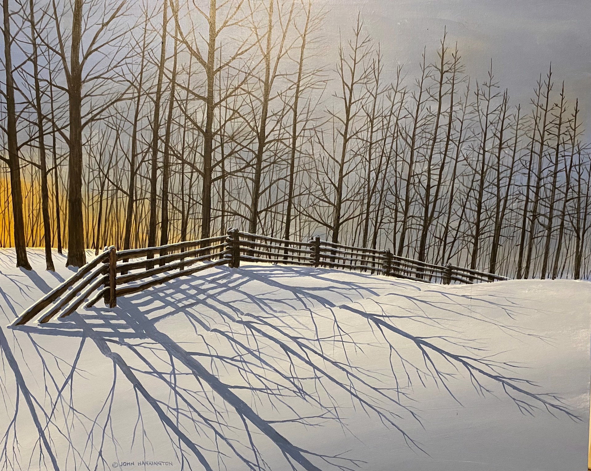 Winter Fenceline by John Harrington