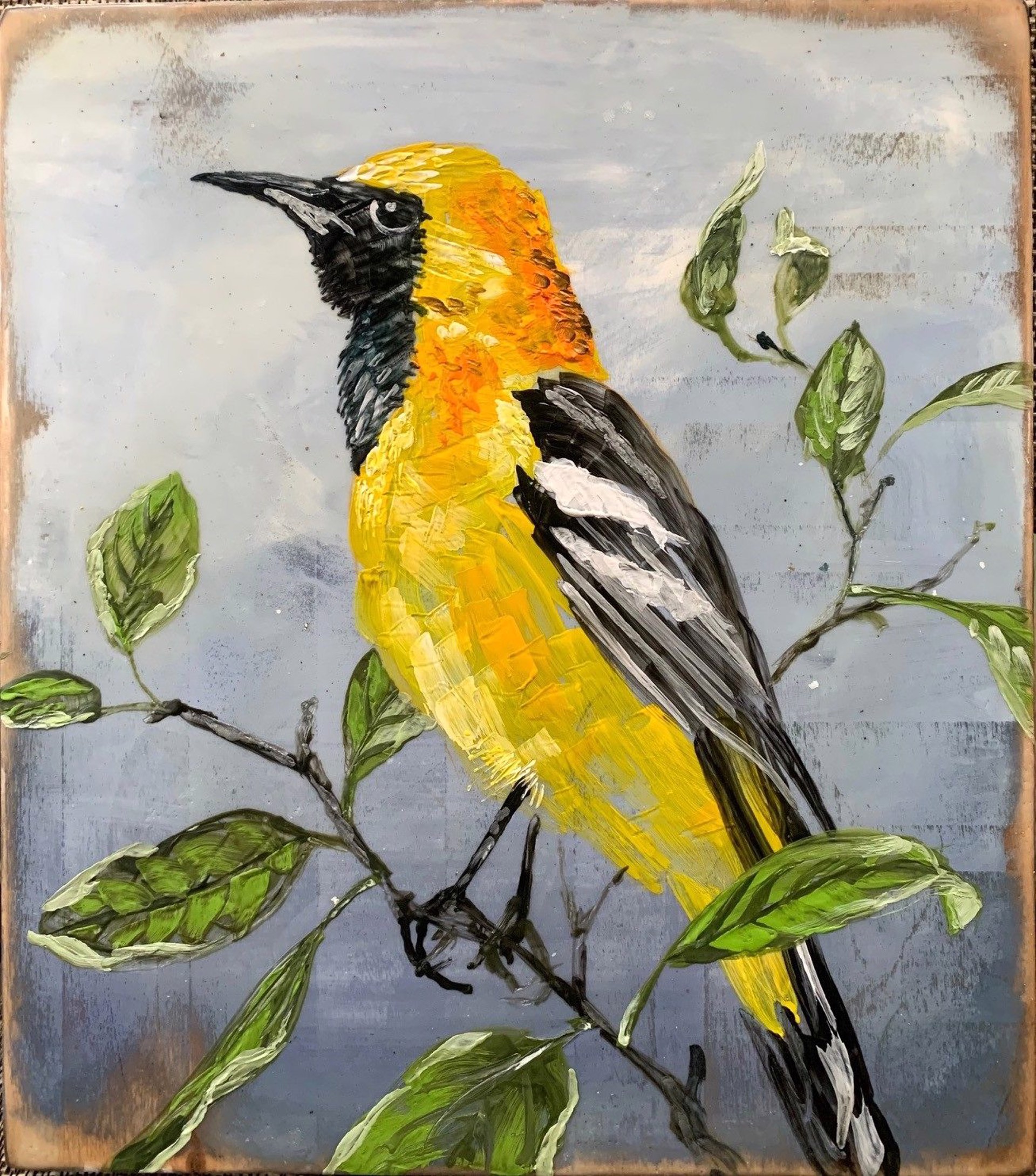 Make Hooded Oriole by Chris Reilly