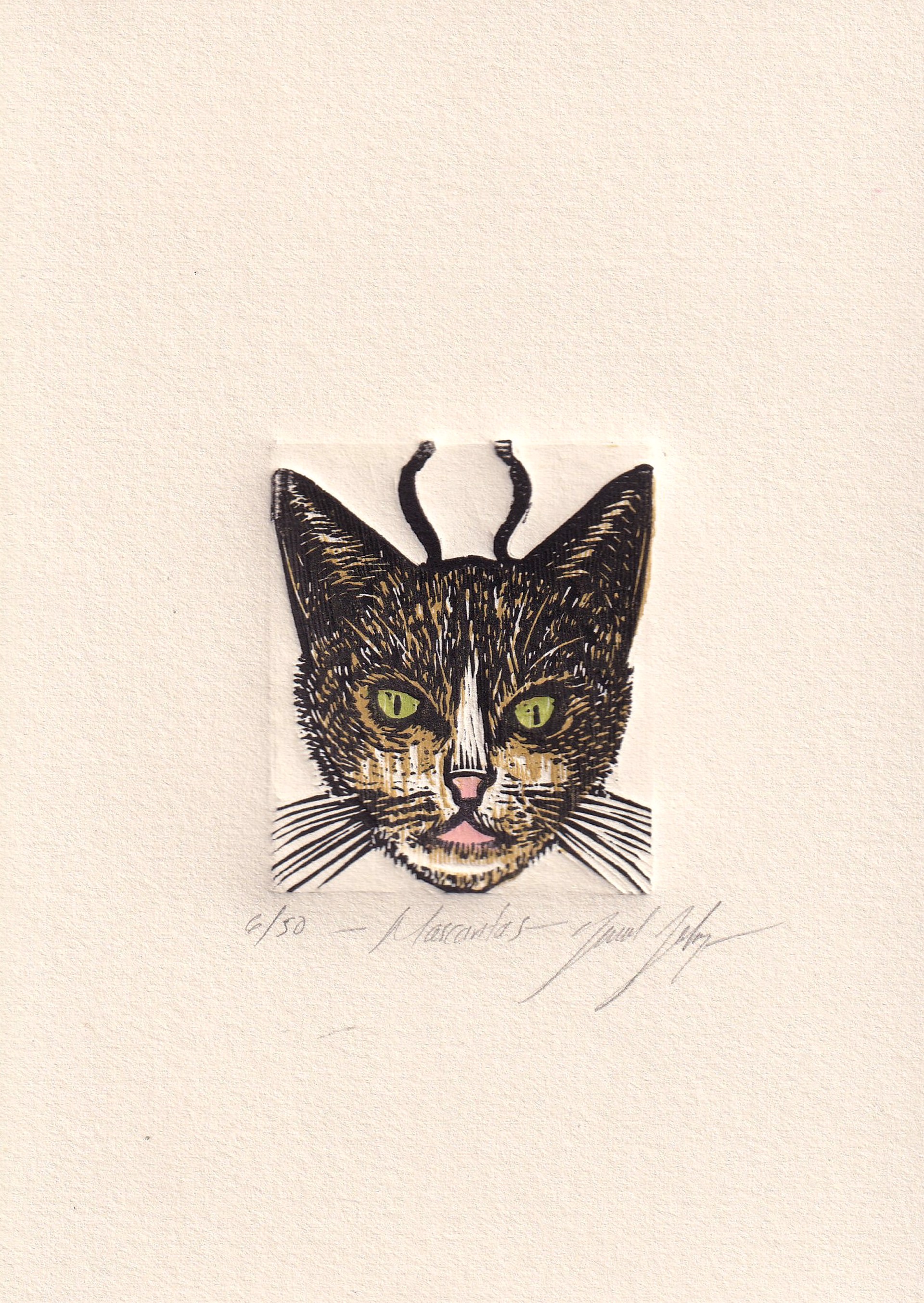 Mascaritas (Gato) by Daniel Salazar
