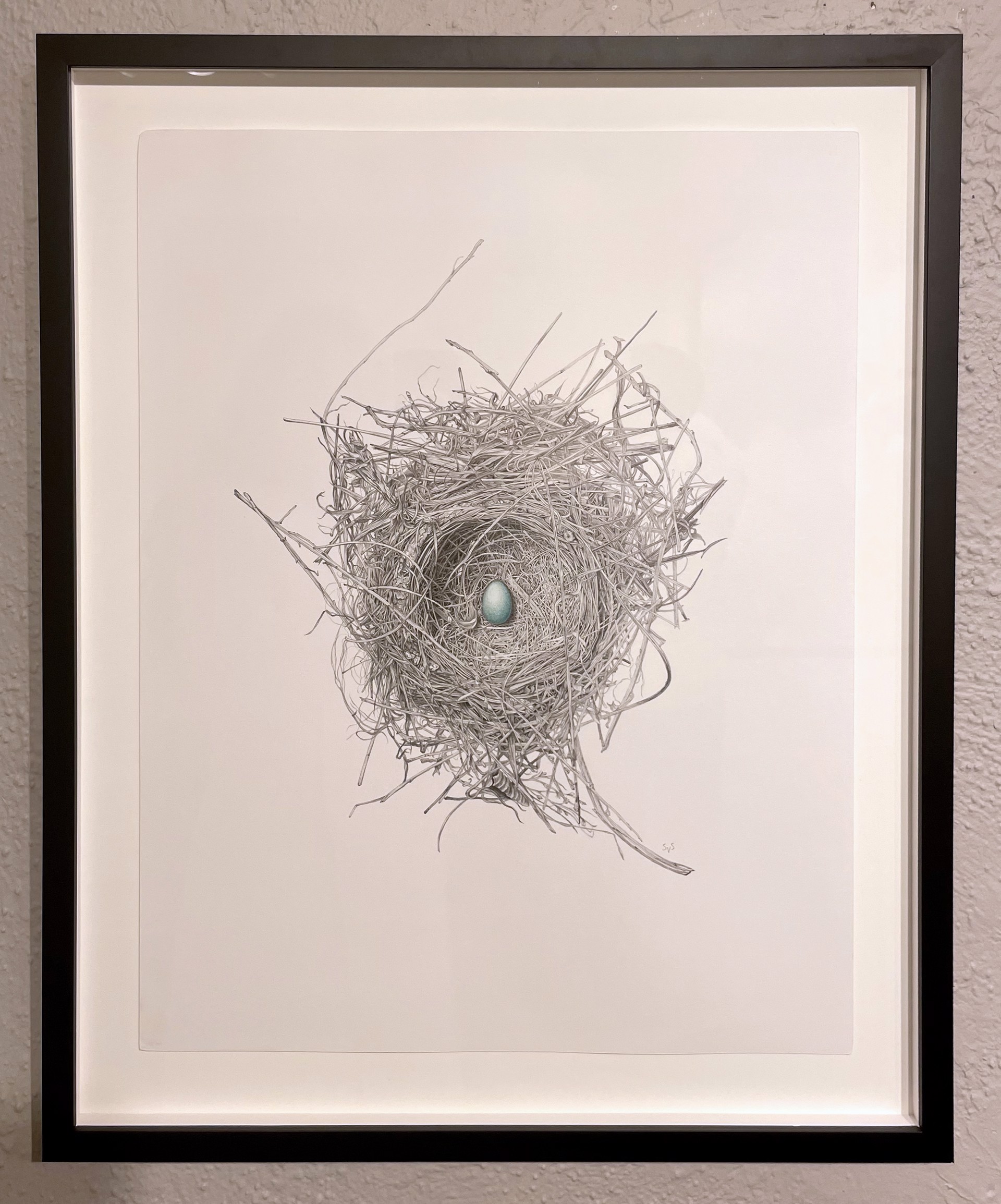 American Robin Nest and Egg by Sienna Van Slooten