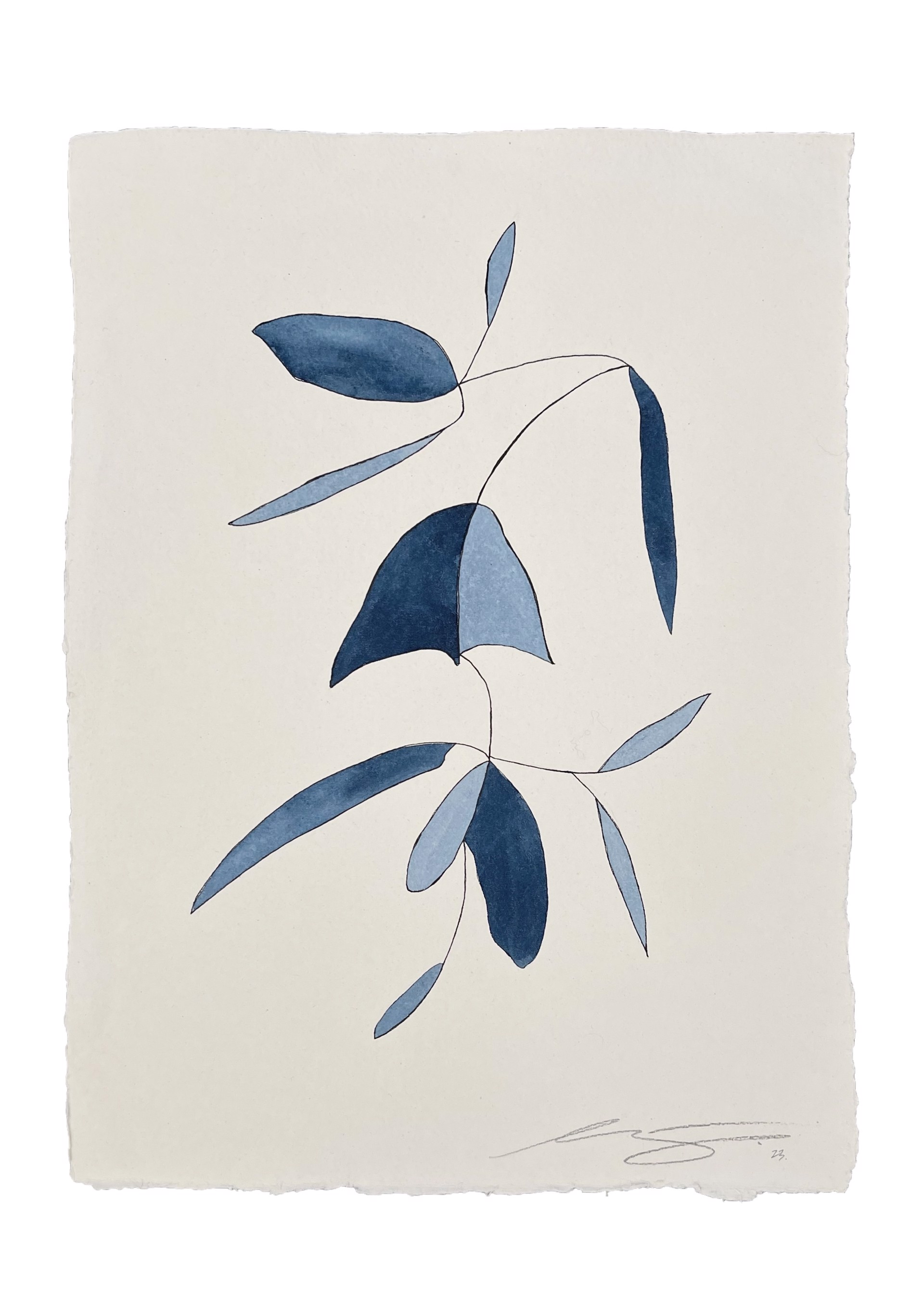 Indigo Blooms 42 by Lindsey Porter