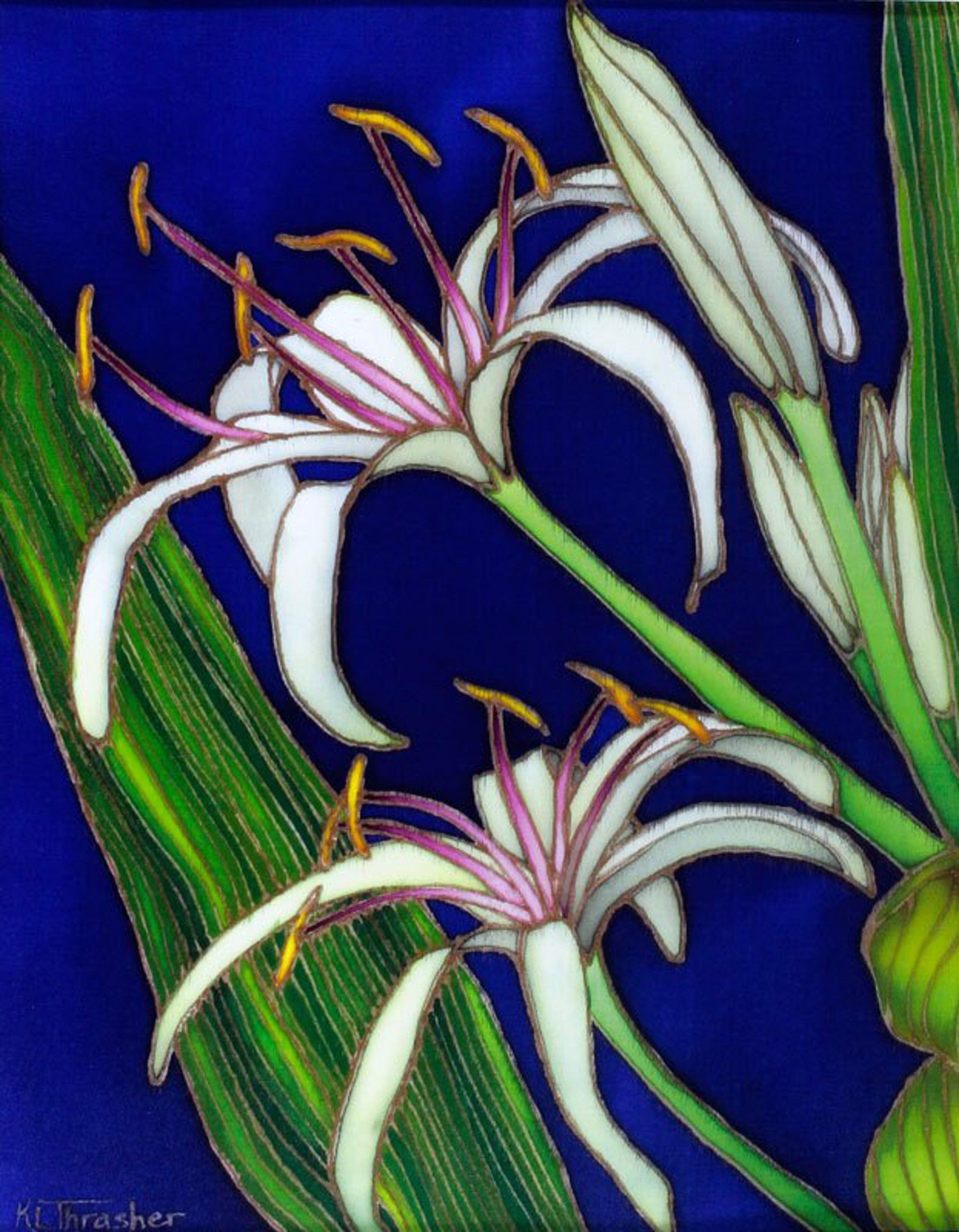 Spider Lilies by Karen Thrasher