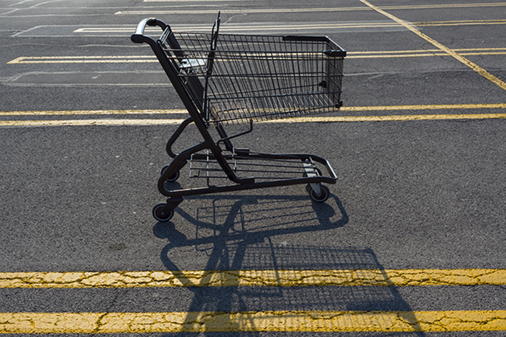 Grocery Cart by Frank Sherwood White