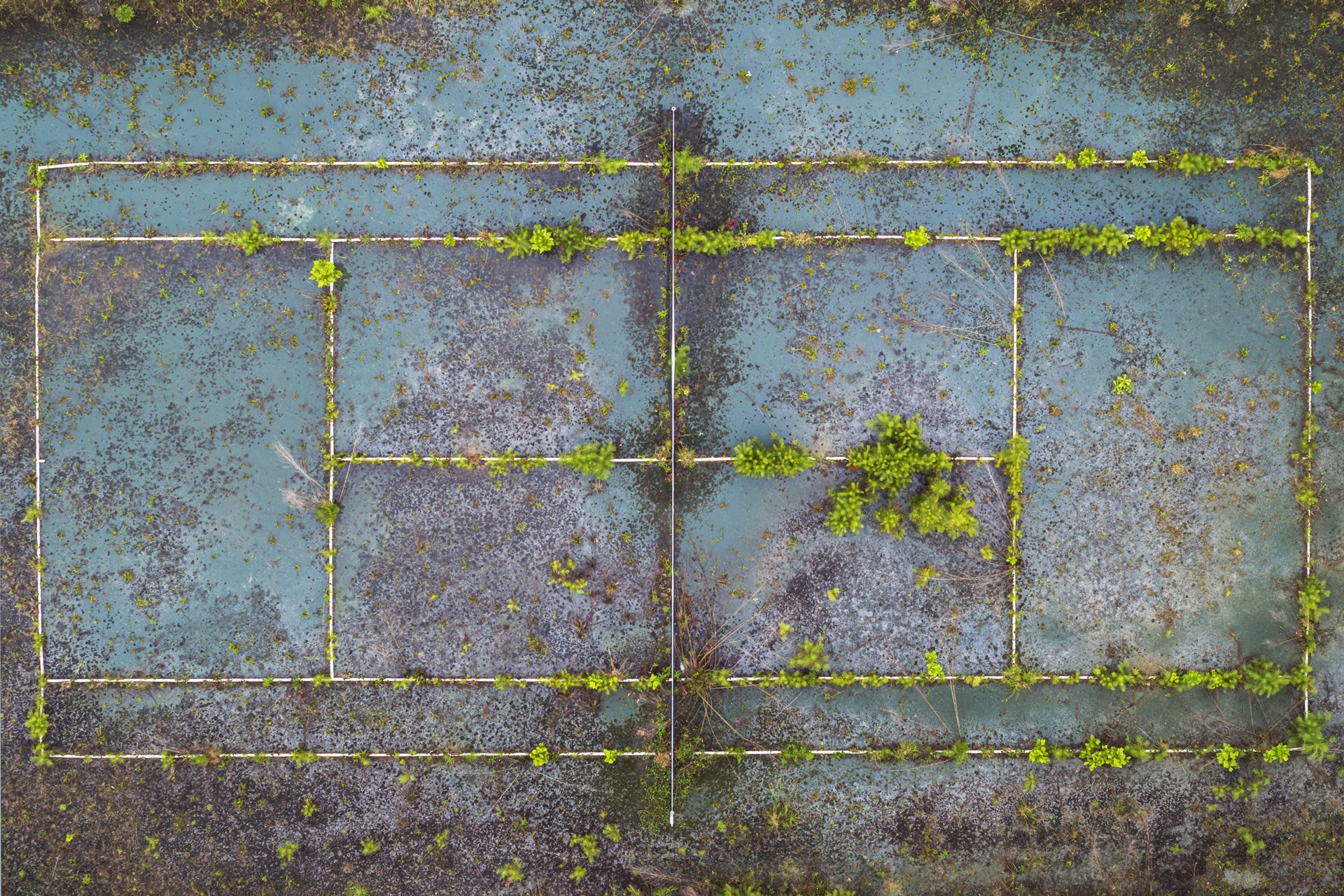 Abandoned Tennis Court, Snellville, Georgia by Peter Essick