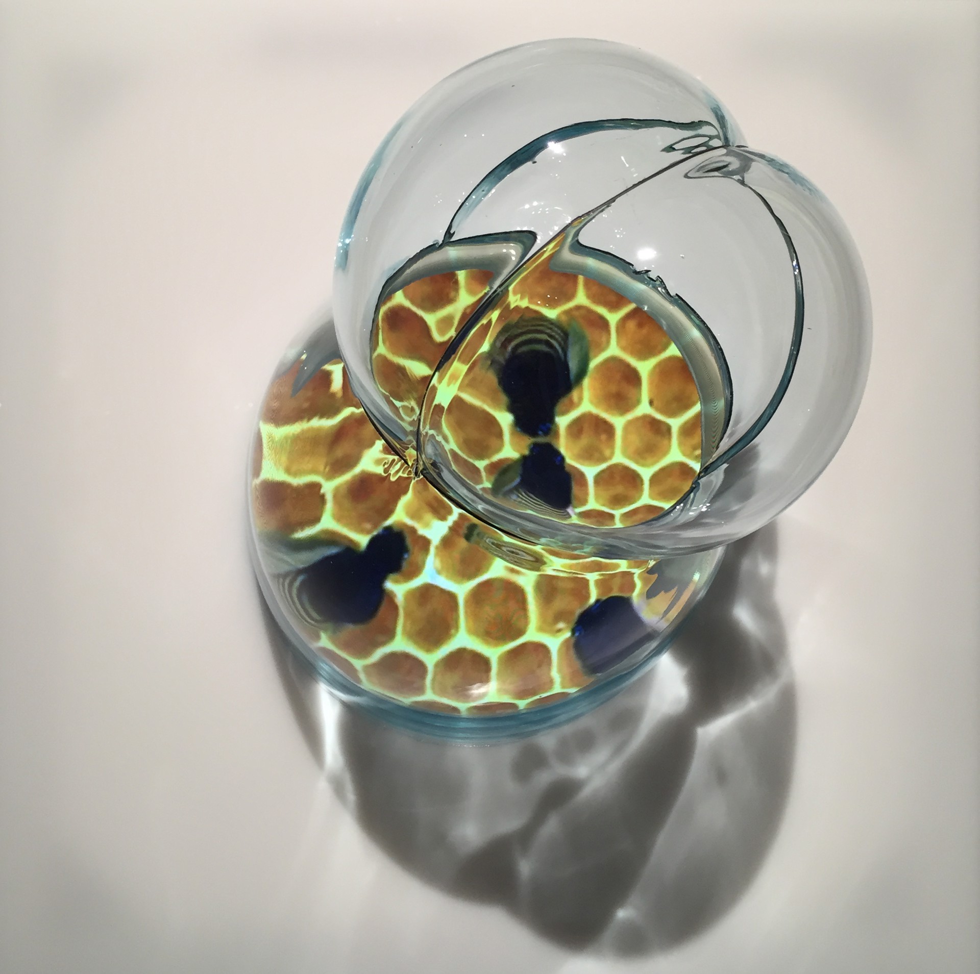 Can Pesticides Make Honey? by Katja Loher