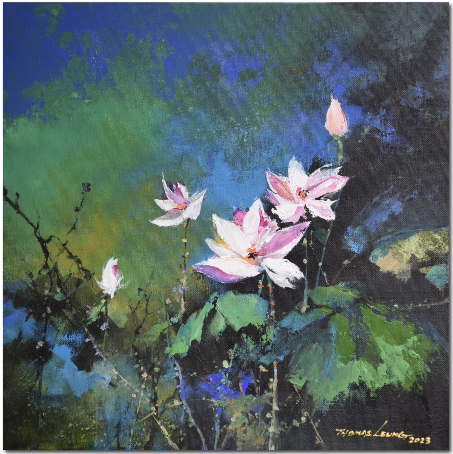 Summer Lotus by Thomas Leung
