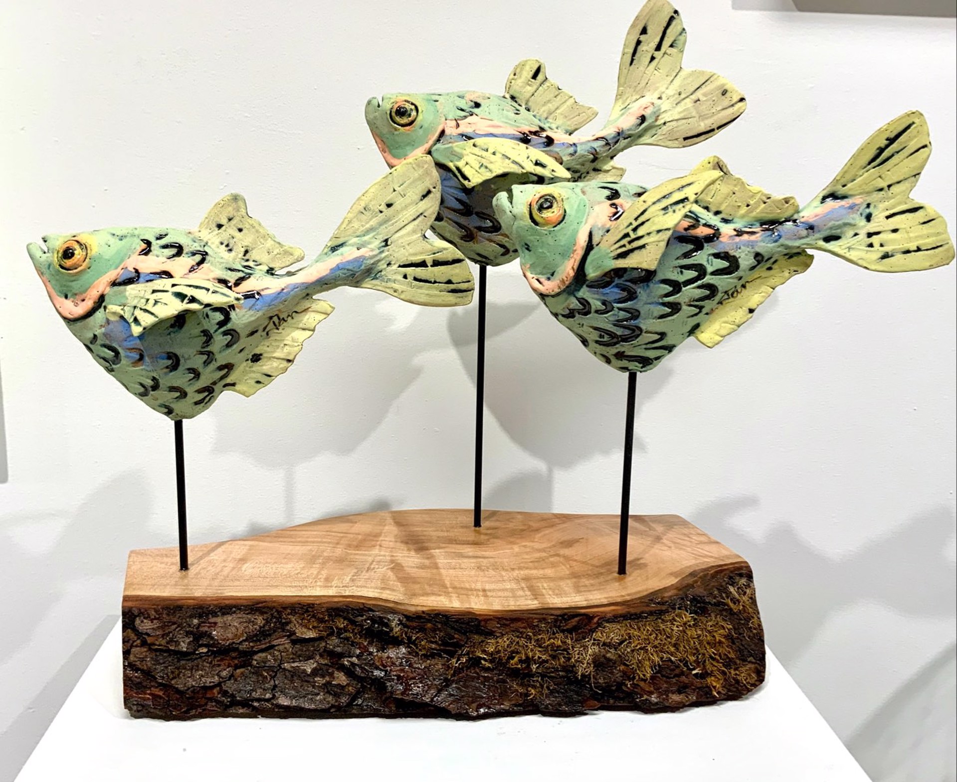 School Of Fish by Janet Leazenby