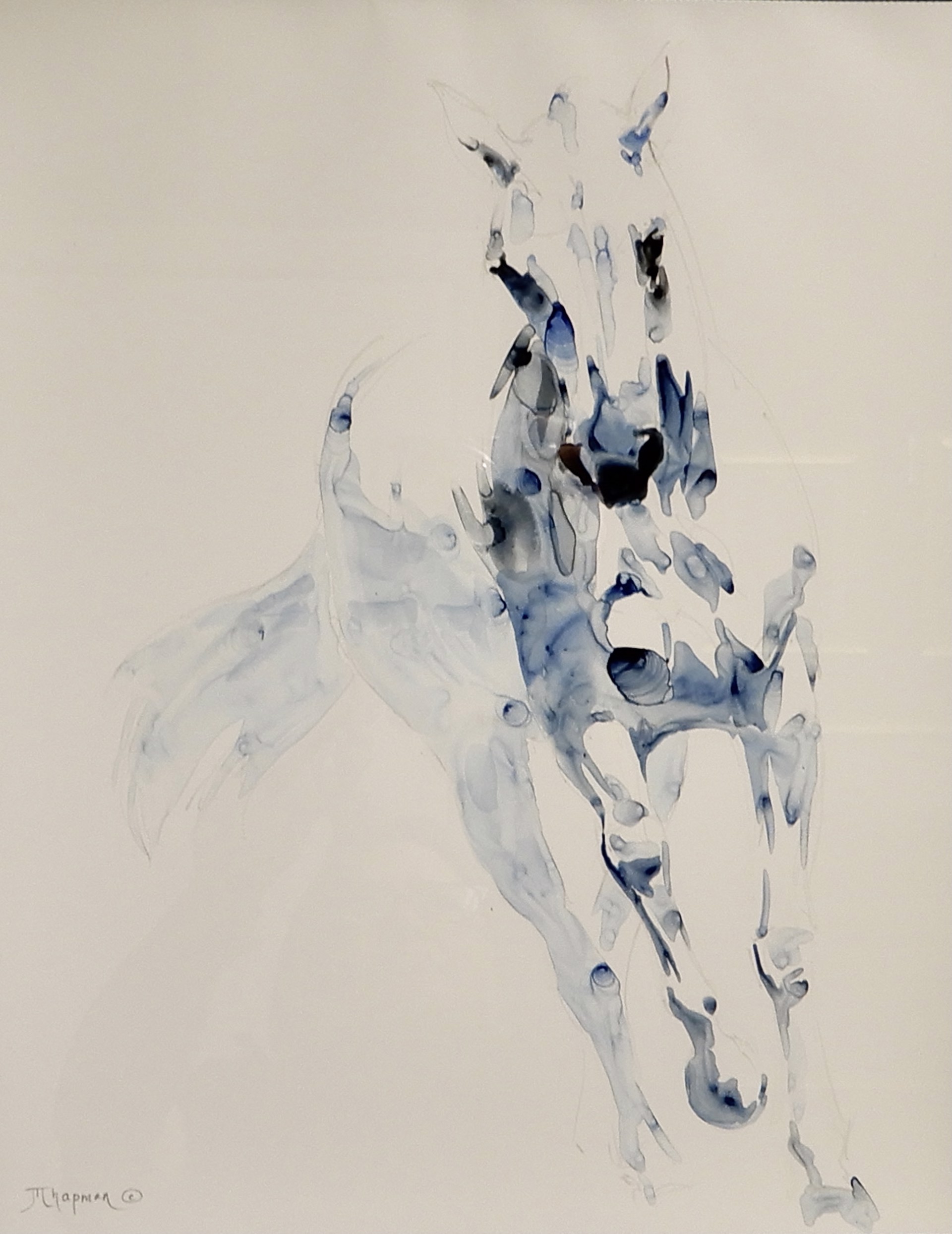 HORSE I by Julie Chapman