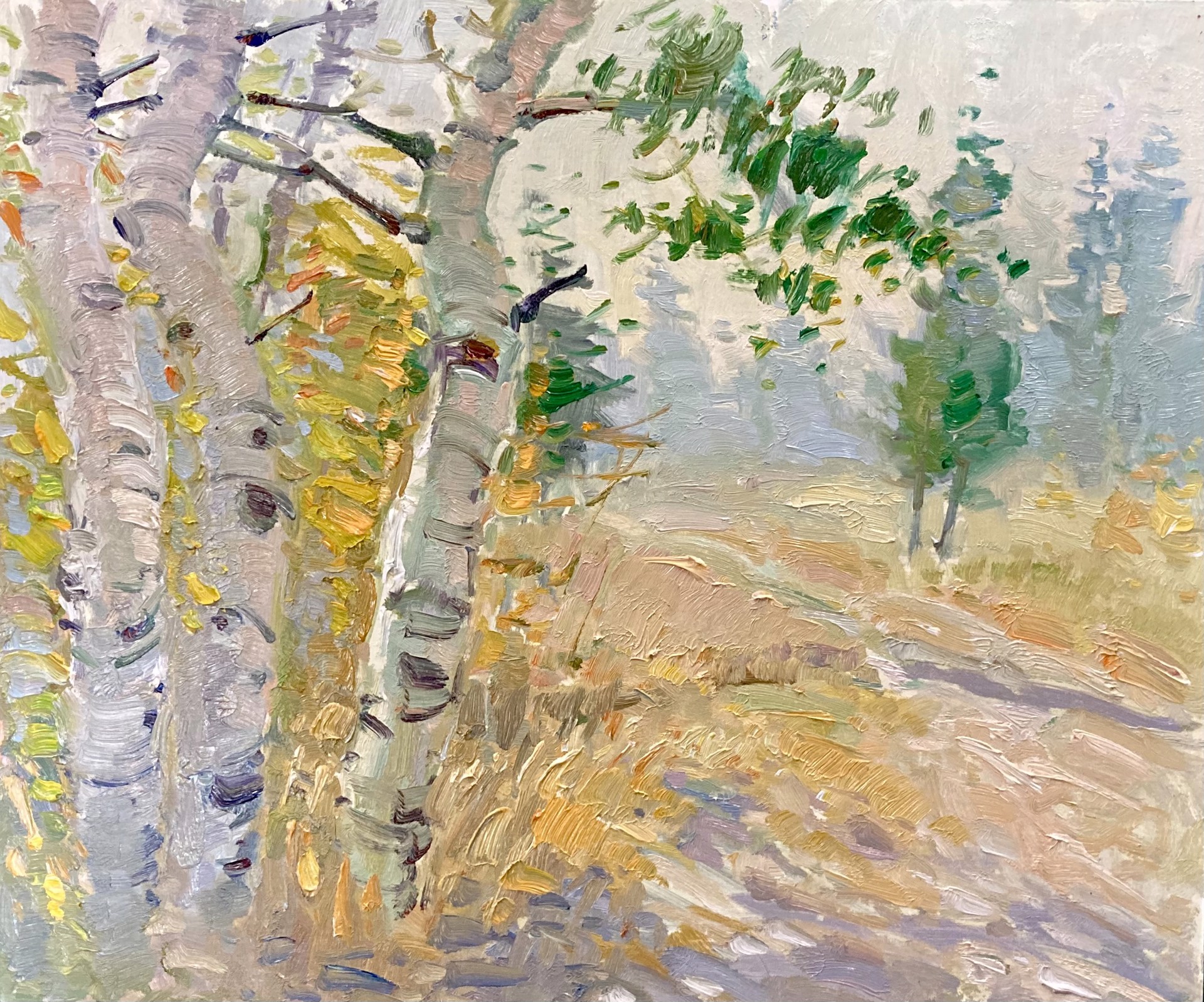 Soft Aspen Atmosphere by Don Sahli