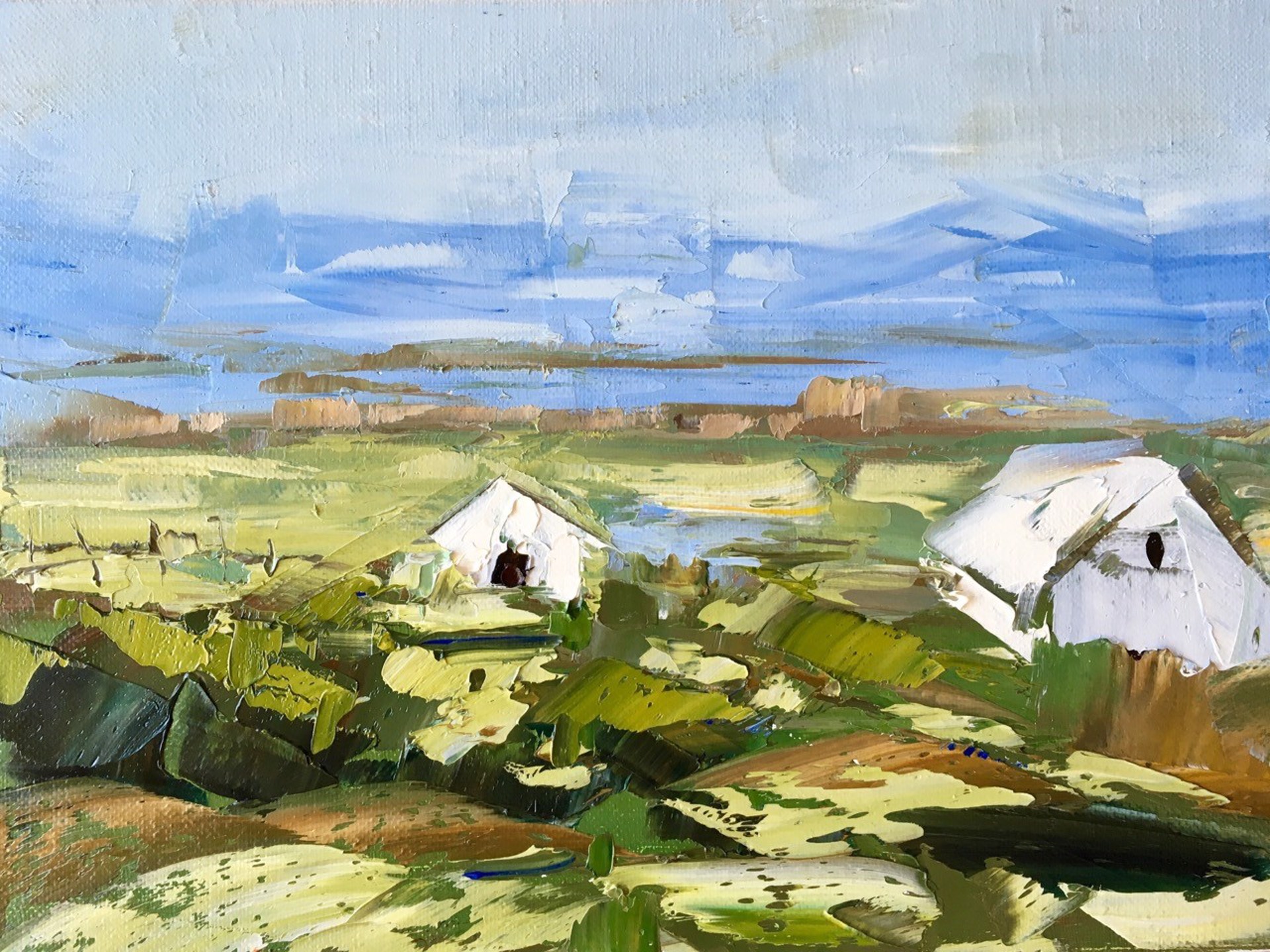Irish Barn by Sandra Pratt