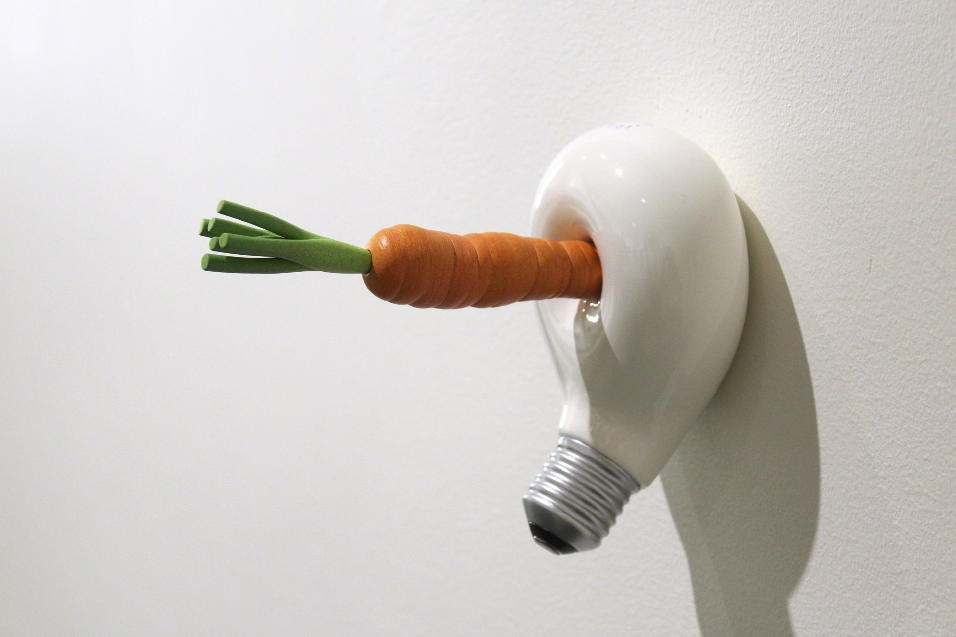 Brite Idea: Light Where You Need It (Carrot) by Sean O'Meallie