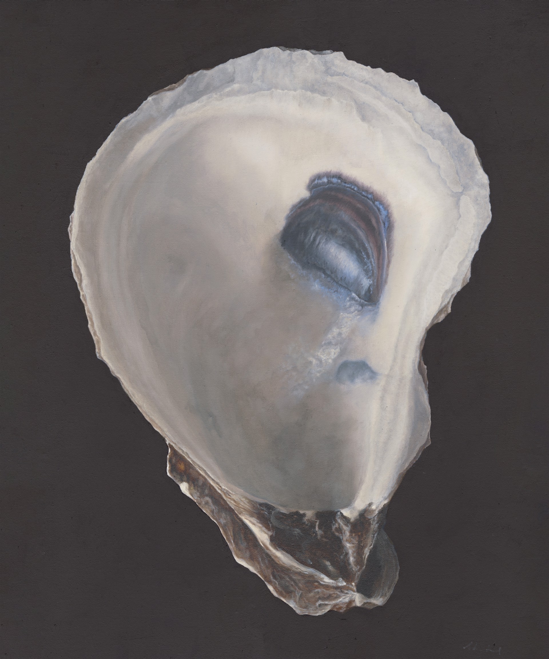 Oyster Shell No. 2 by Sarah Verardo
