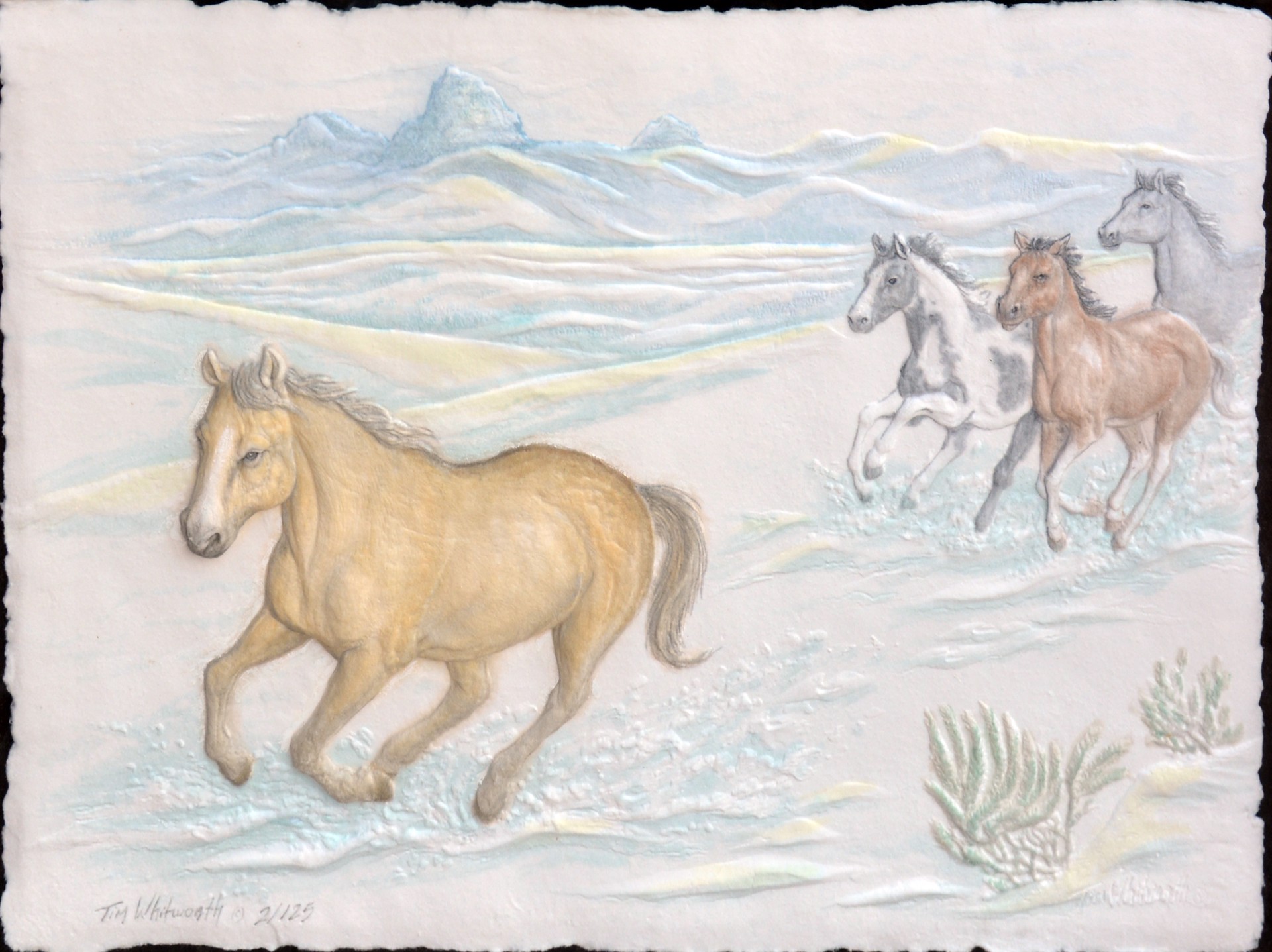 Teton Ponies by Tim Whitworth