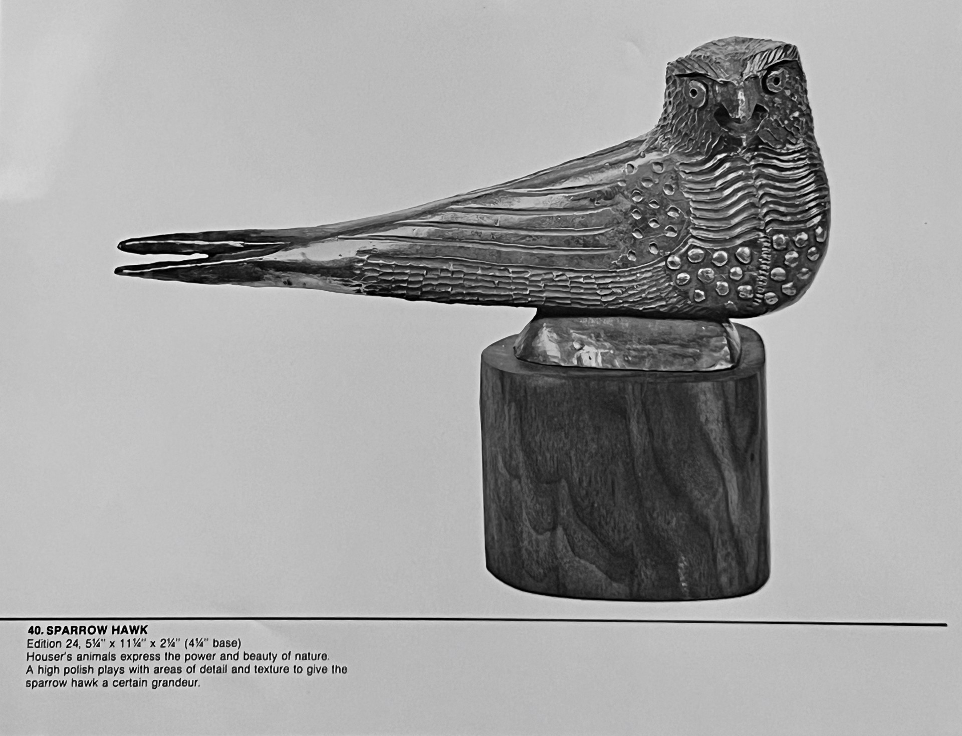 Sparrow Hawk by Allan Houser