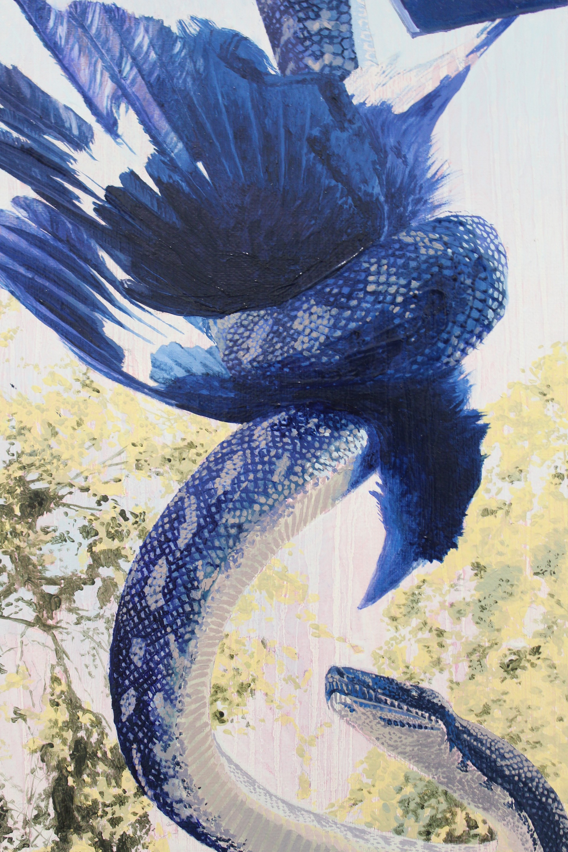 Snake vs. Bird by Paige DeVries