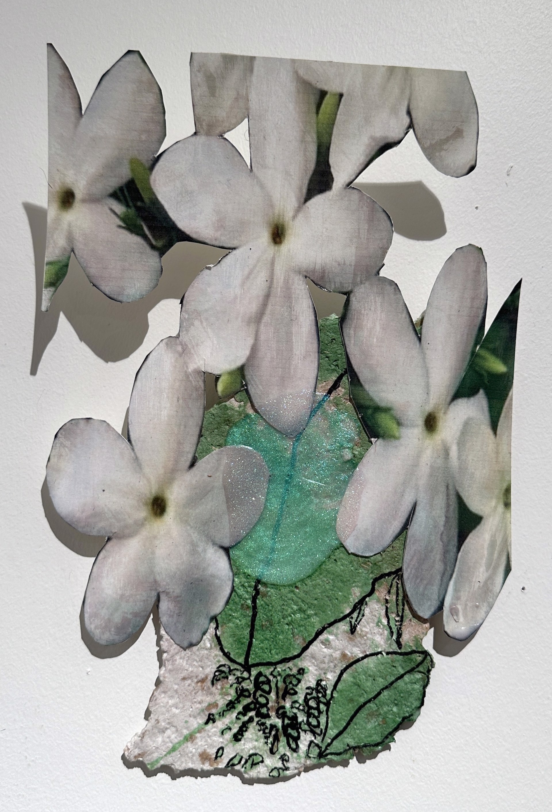 Jasmine by Jonathan Paul Jackson