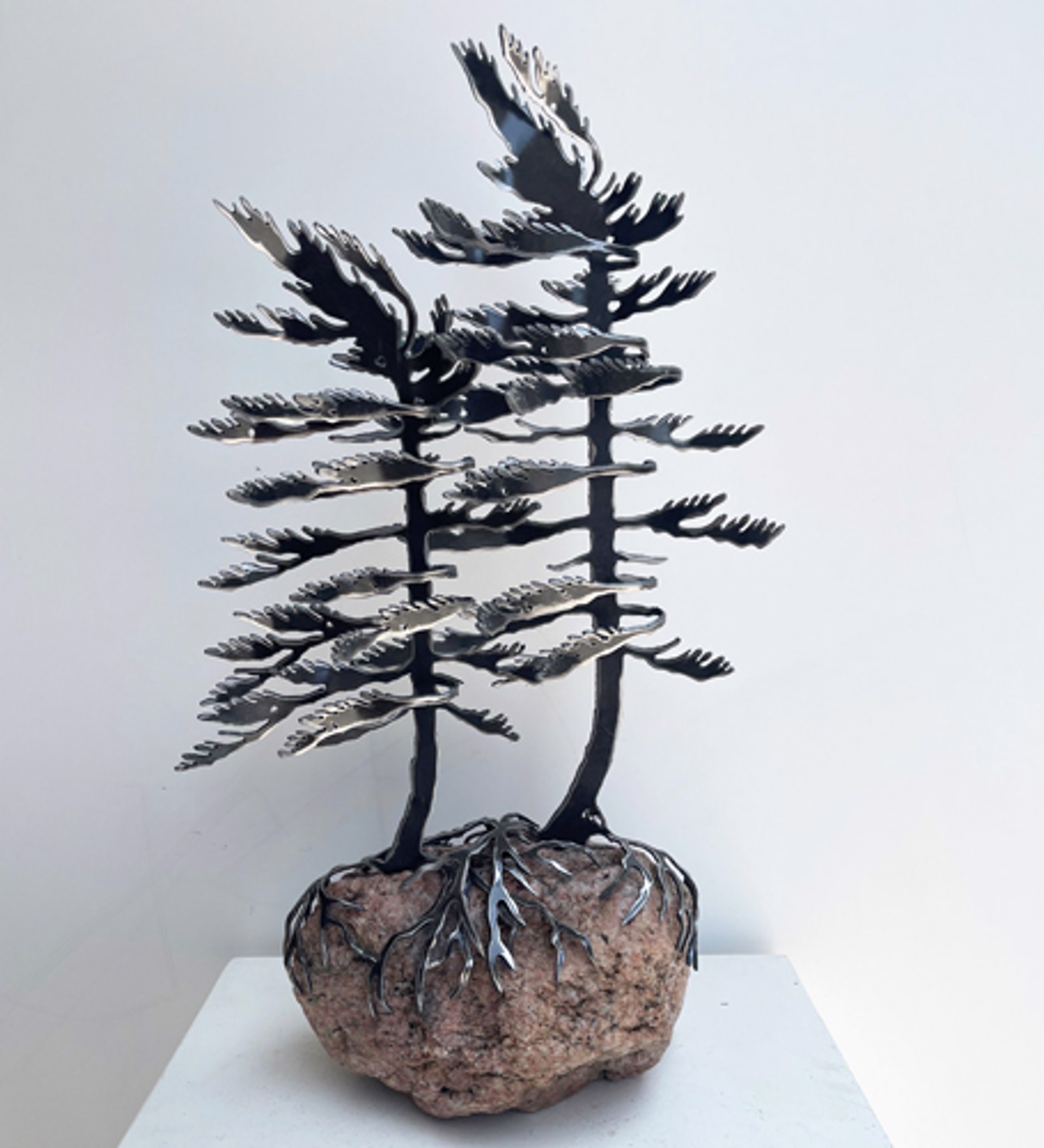 Two Windswept Pine 659780 by Cathy Mark