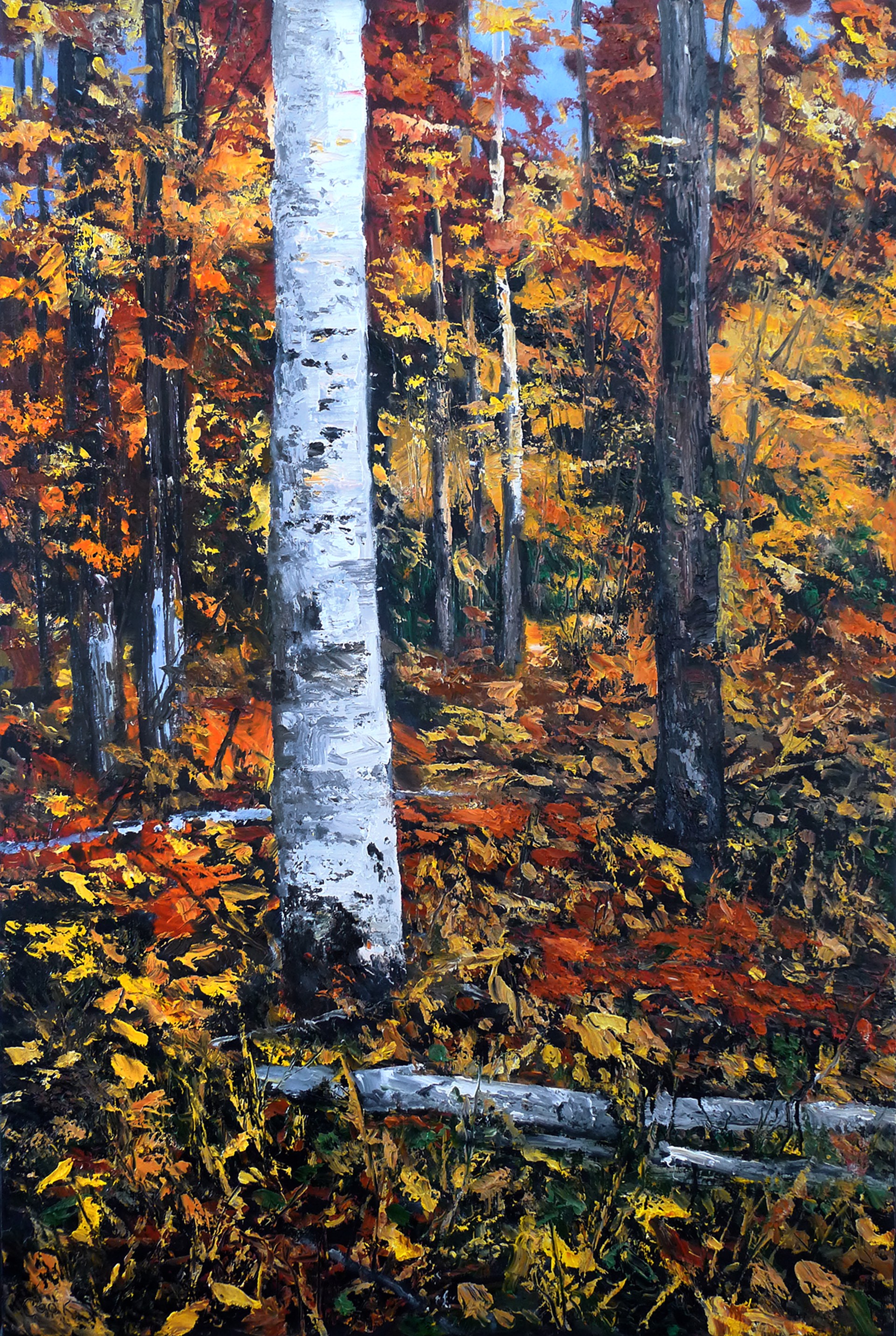 Red Maple and Aspen #1 by James Cook