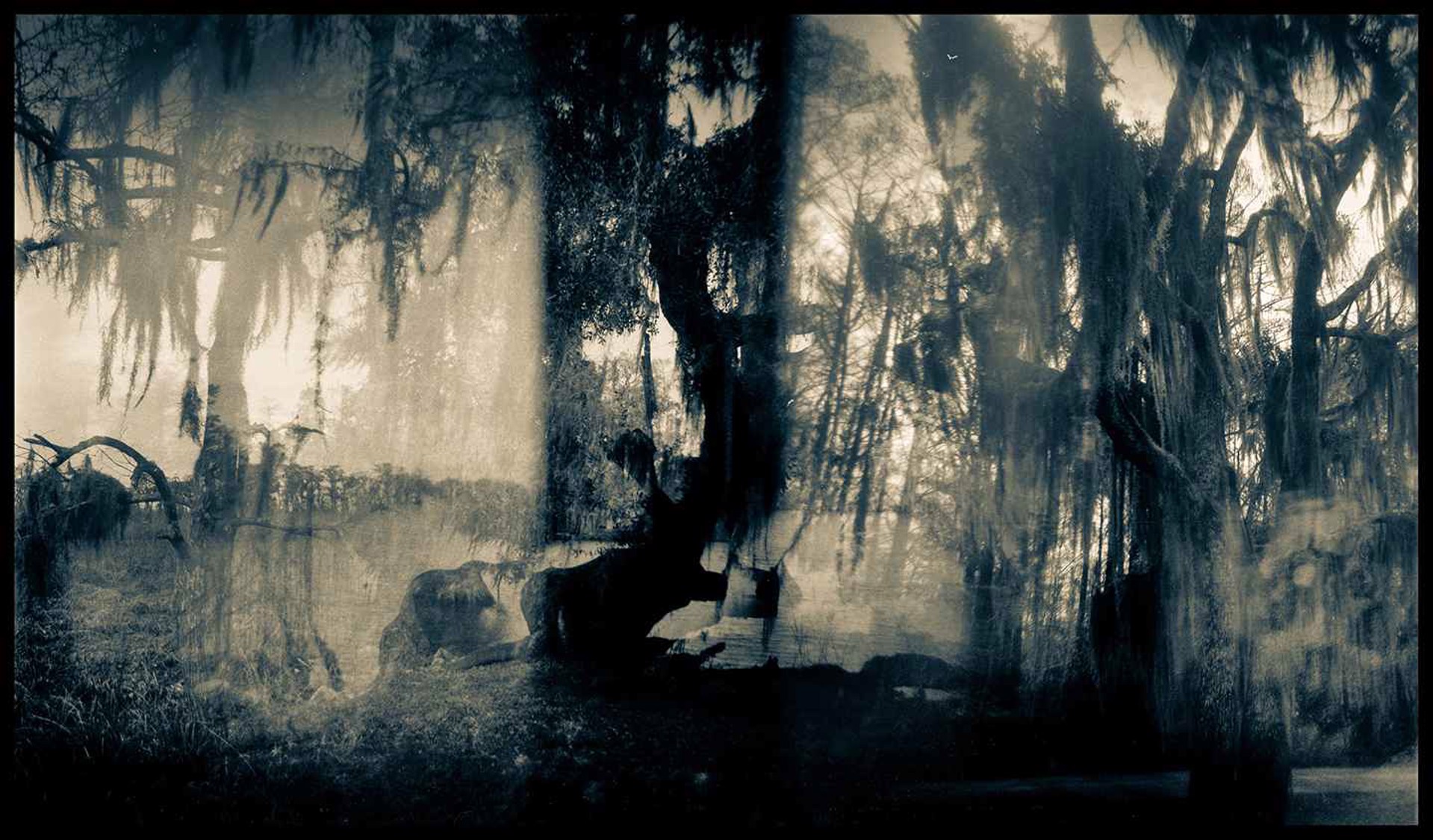 Swamp Fantasy by George Yerger