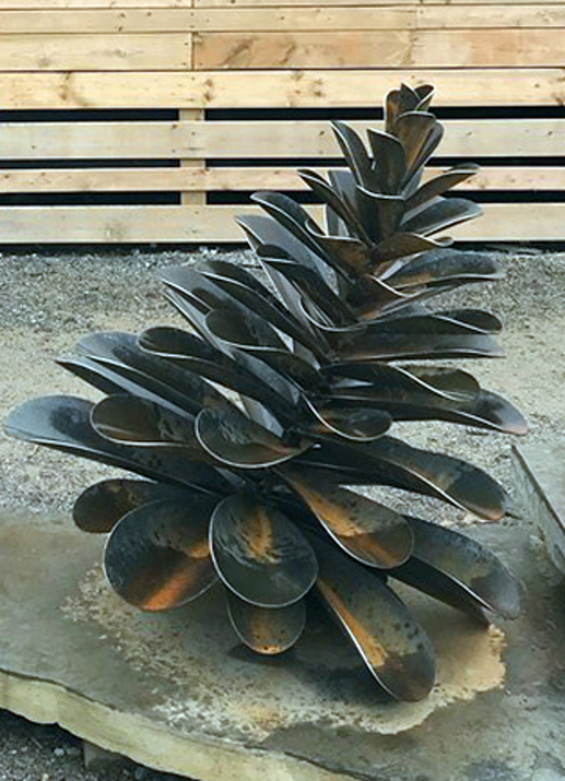 Pine Cone by Floyd Elzinga