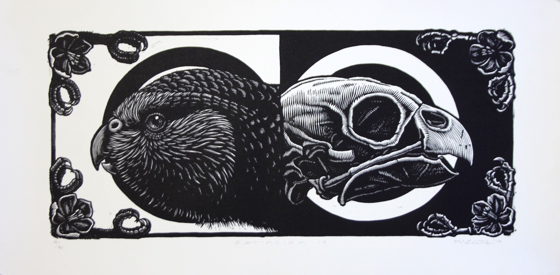 Extincion XIV (Kakapo) by Mazatli