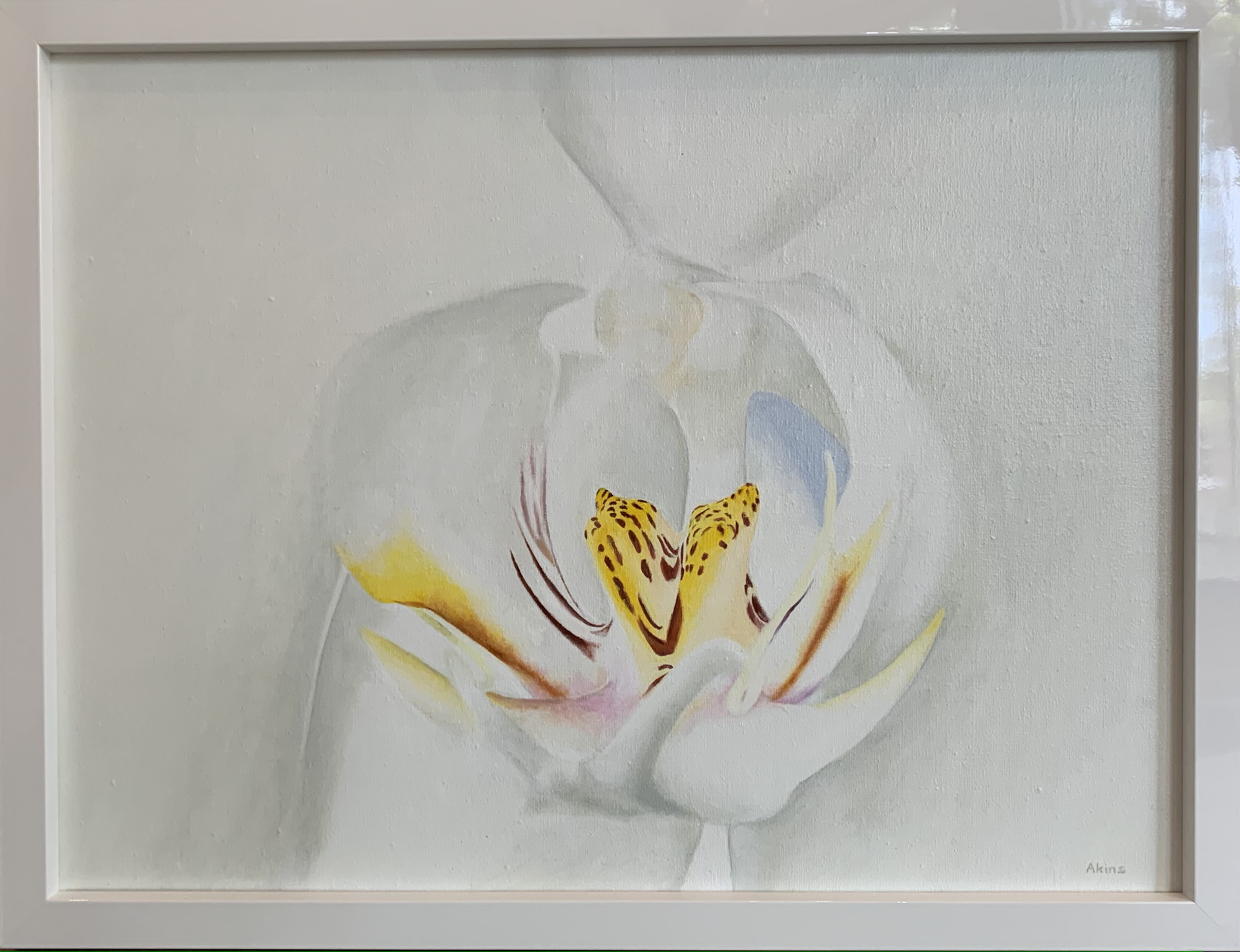 White Orchid II by Cary Akins