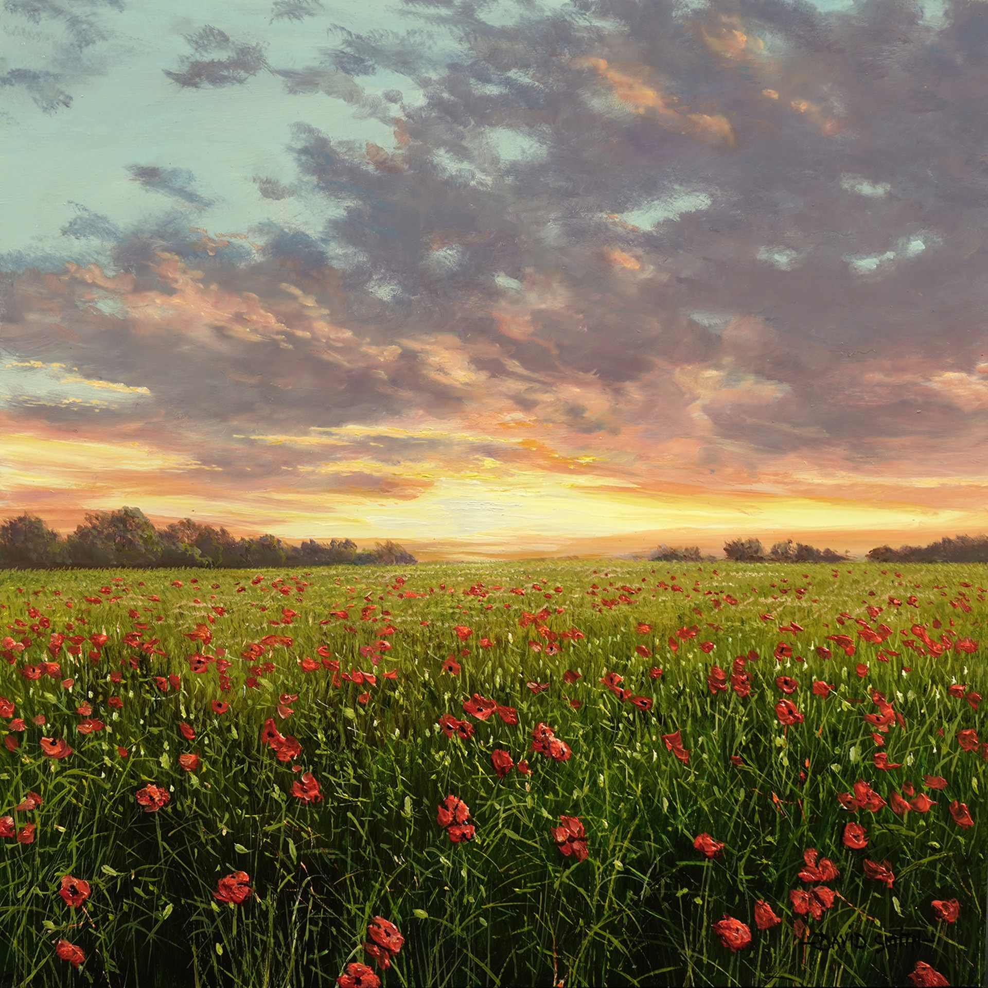 Poppies at Sunset by David Smith