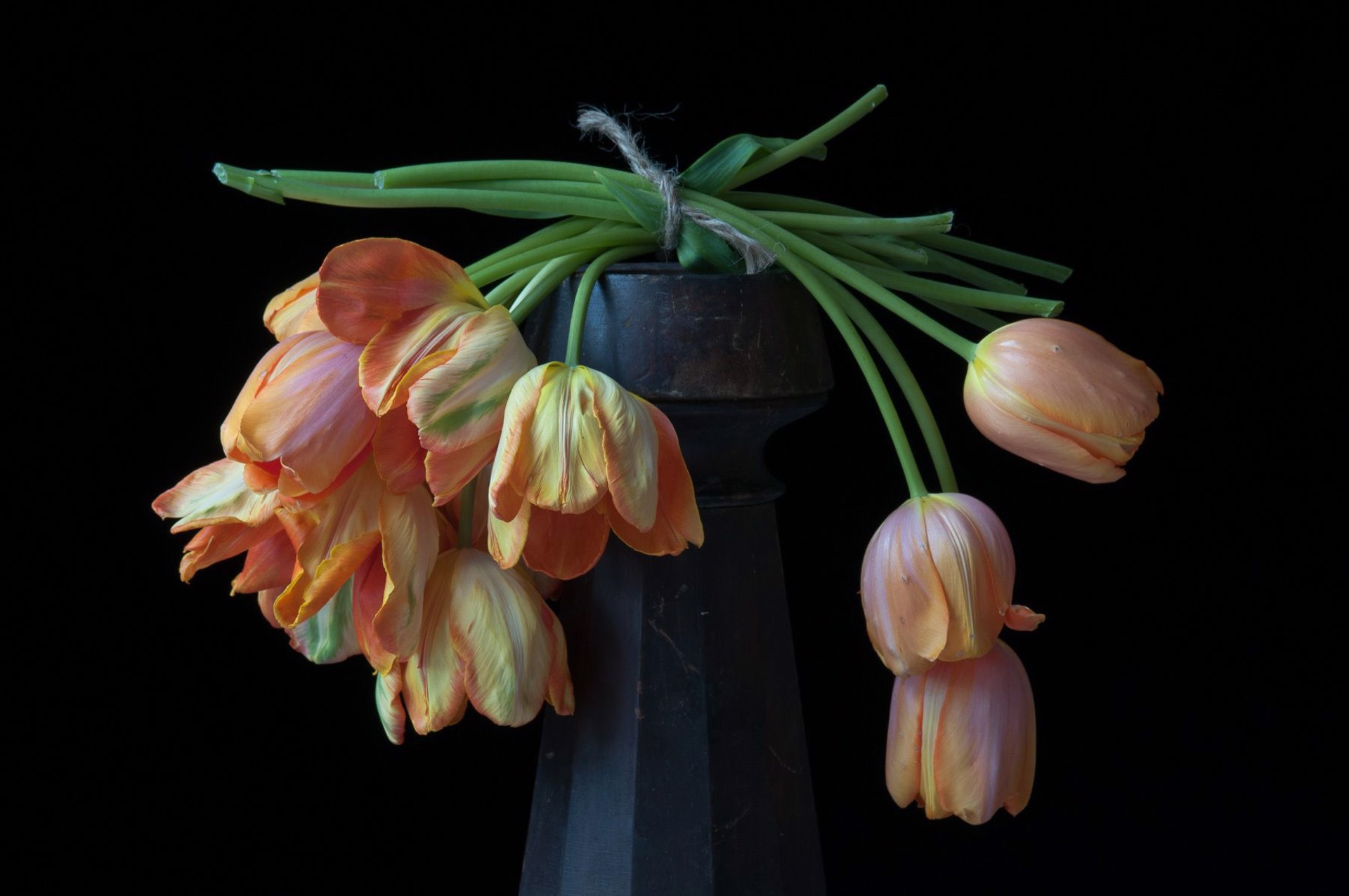 French Orange Tulips by Lynn Karlin