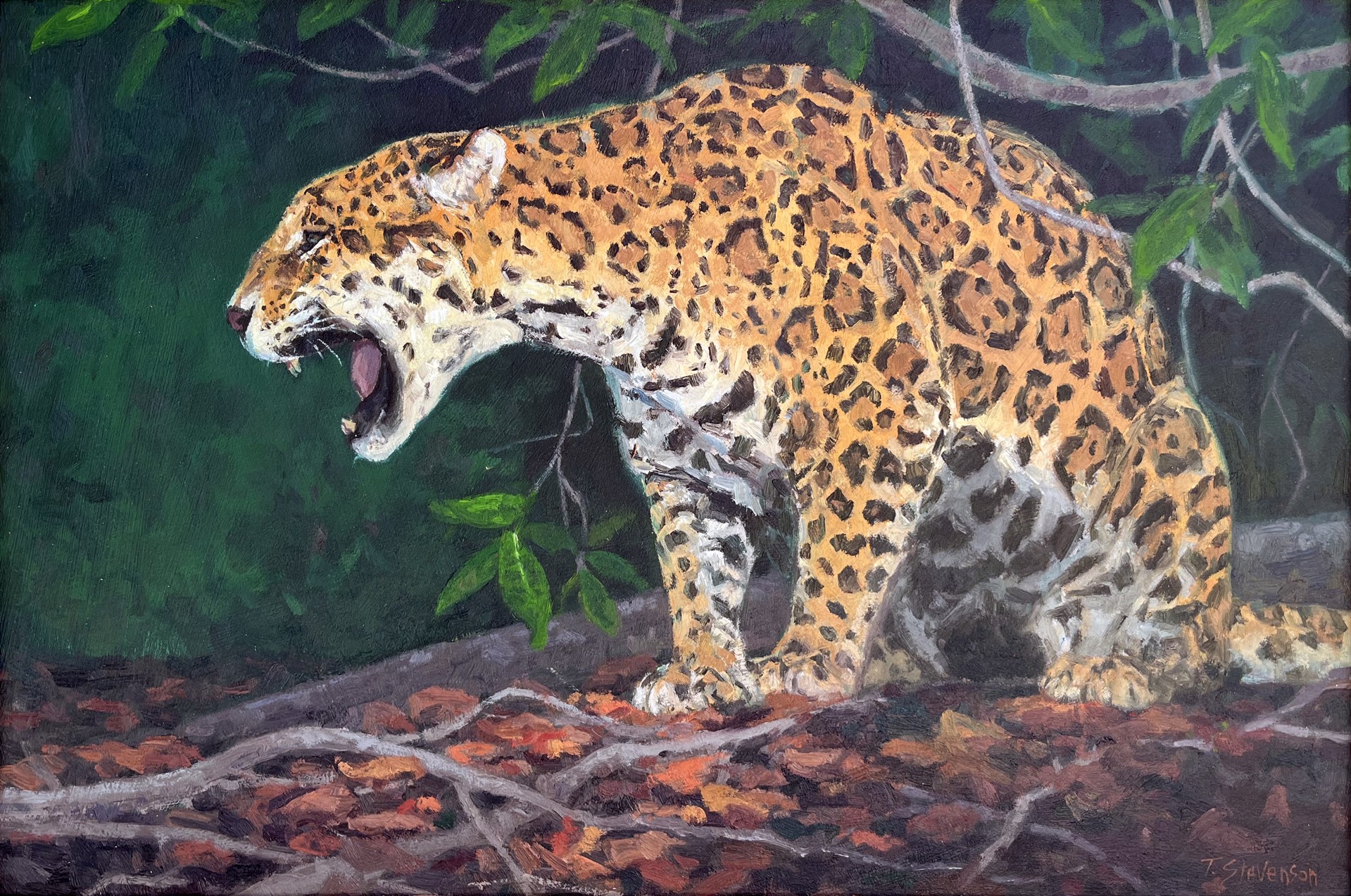 Jungle King by Tiffany Stevenson