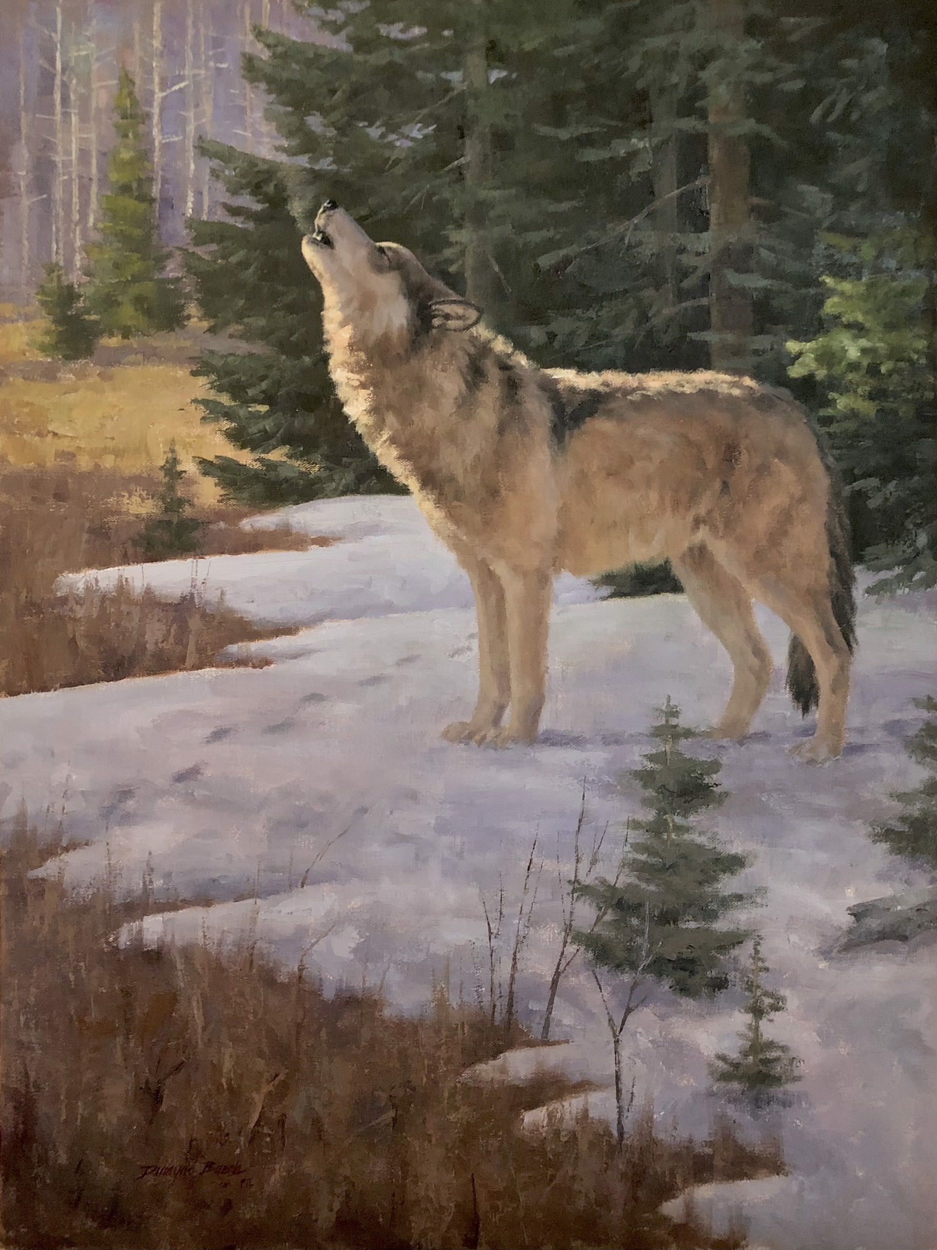 A Voice in the Wilderness by Dwayne Brech