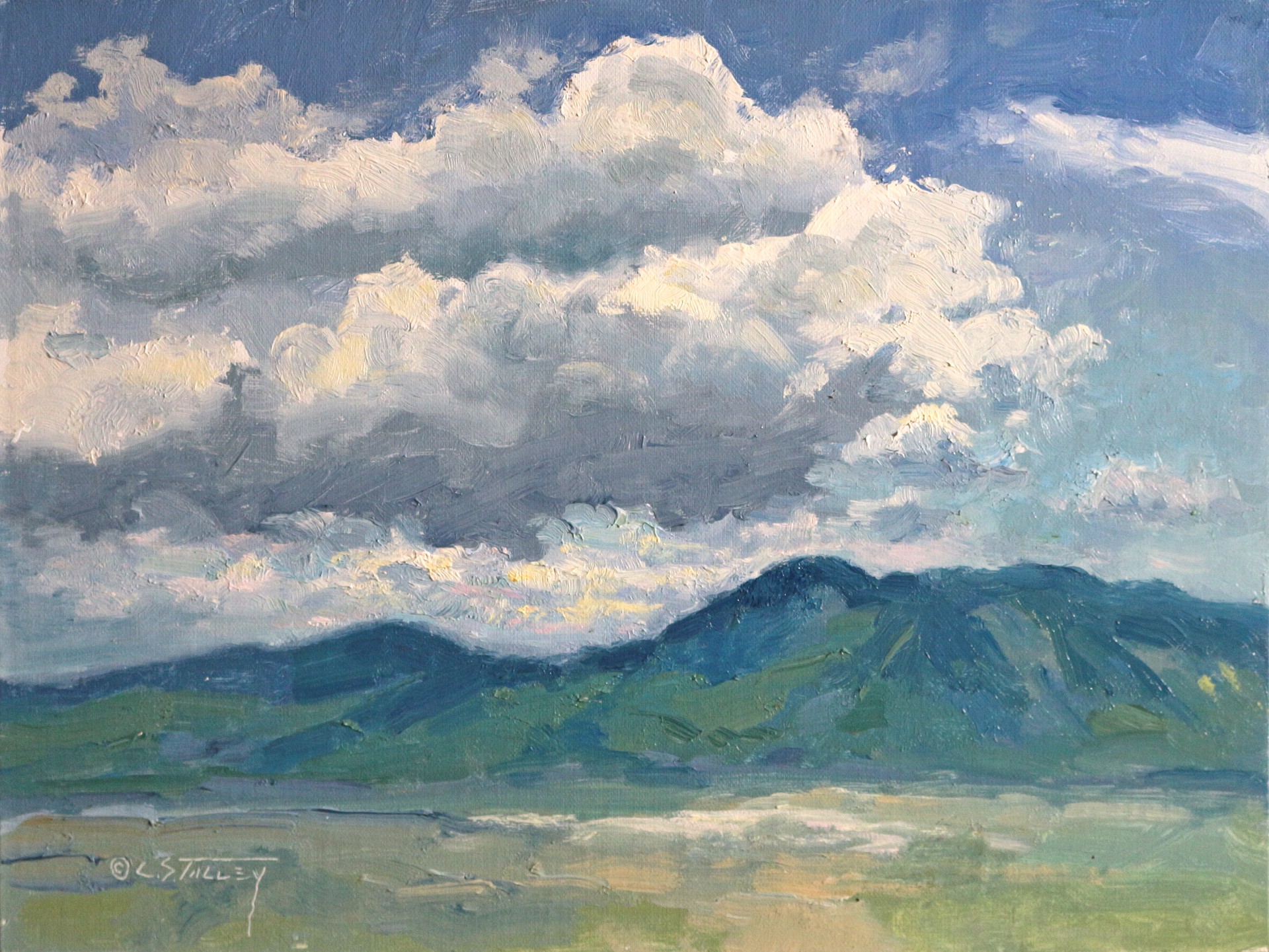 Summer Clouds - Picuris Mountains by C. S. Talley