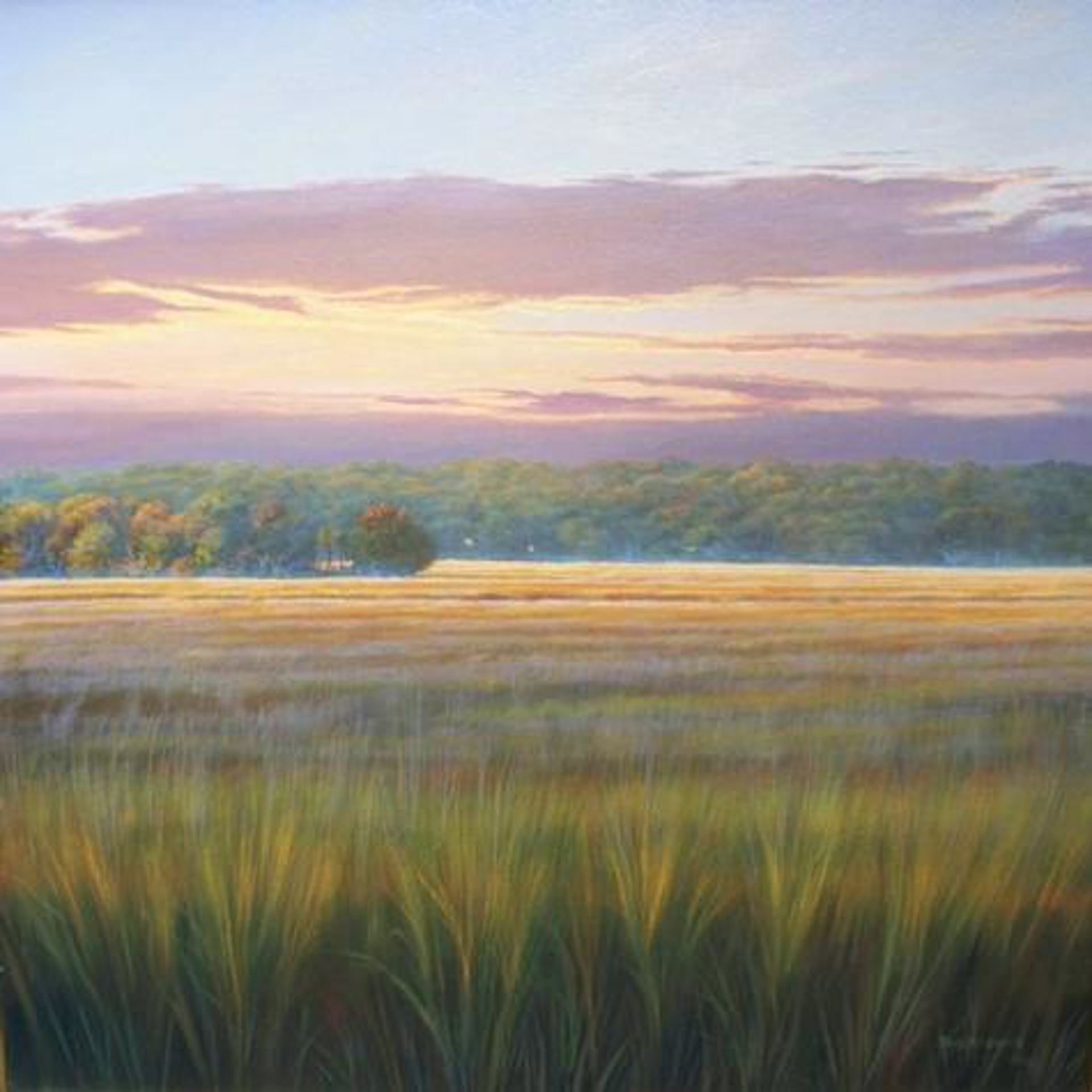 Sunset on the Marsh by Douglas Grier
