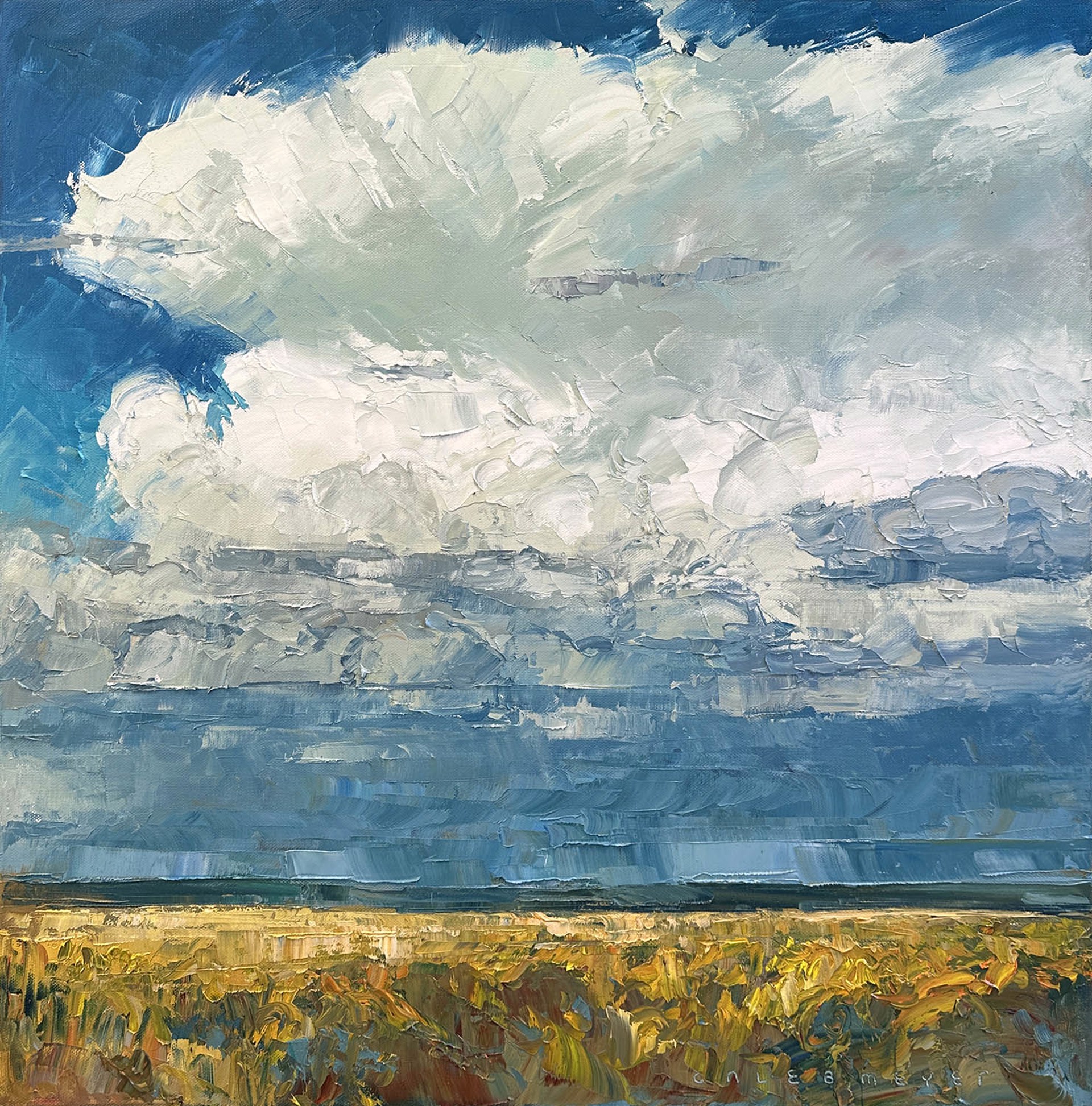 Original Palette Knife Oil Landscape Painting By Caleb Meyer Featuring Storm Clouds Rolling Over The Plains