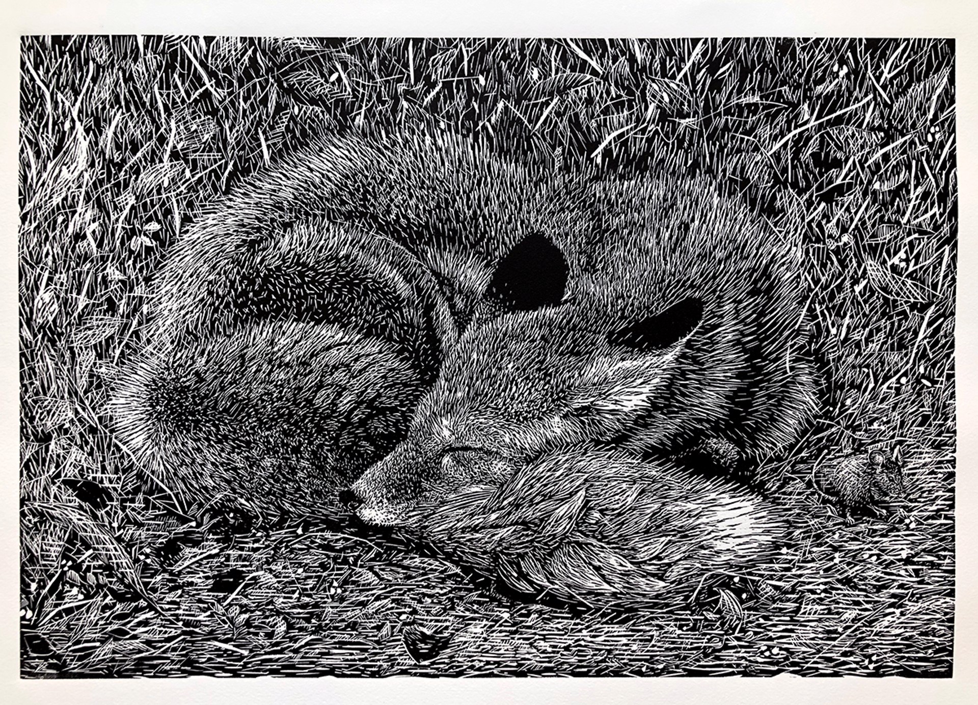 Sleeping Fox by Marit Berg