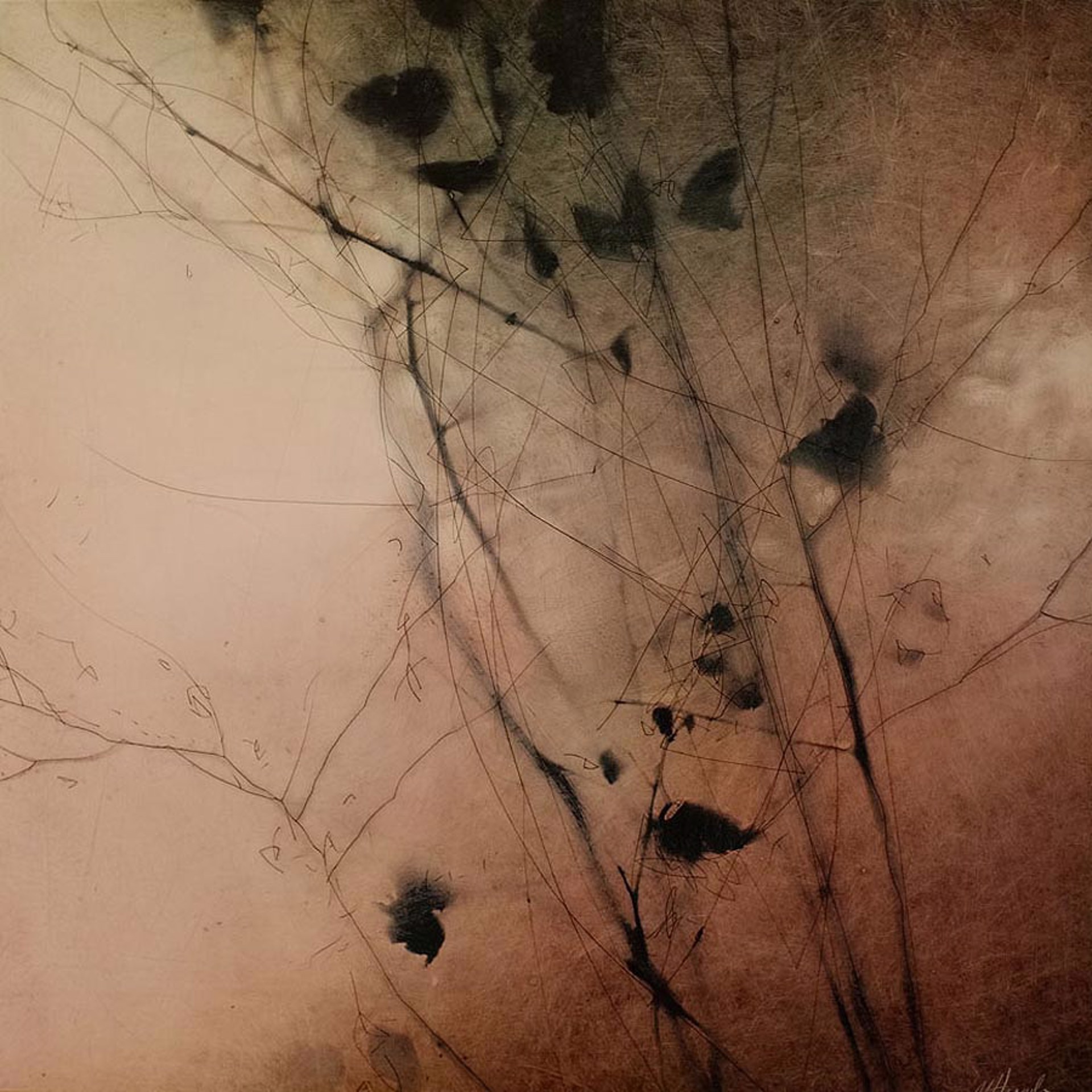 Lyrical IV by Marci Crawford Harnden