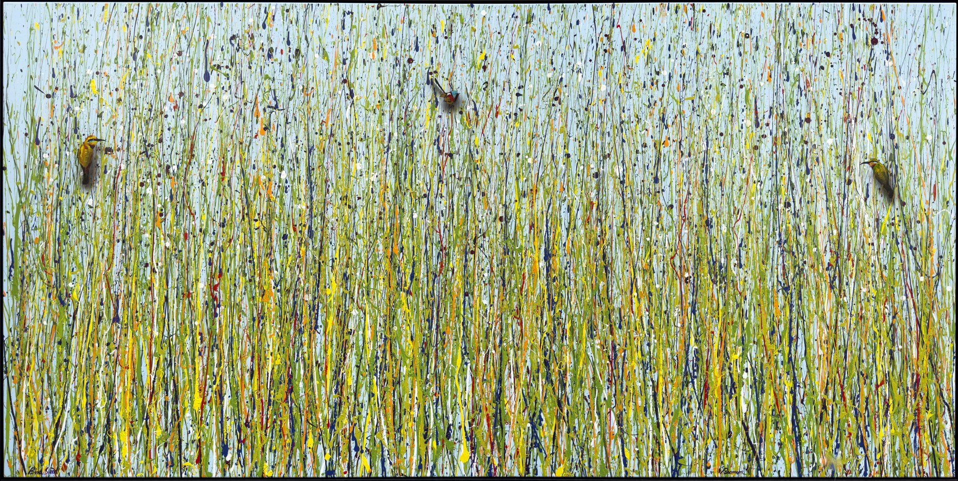 Soft Grass Birds by Colin Passmore