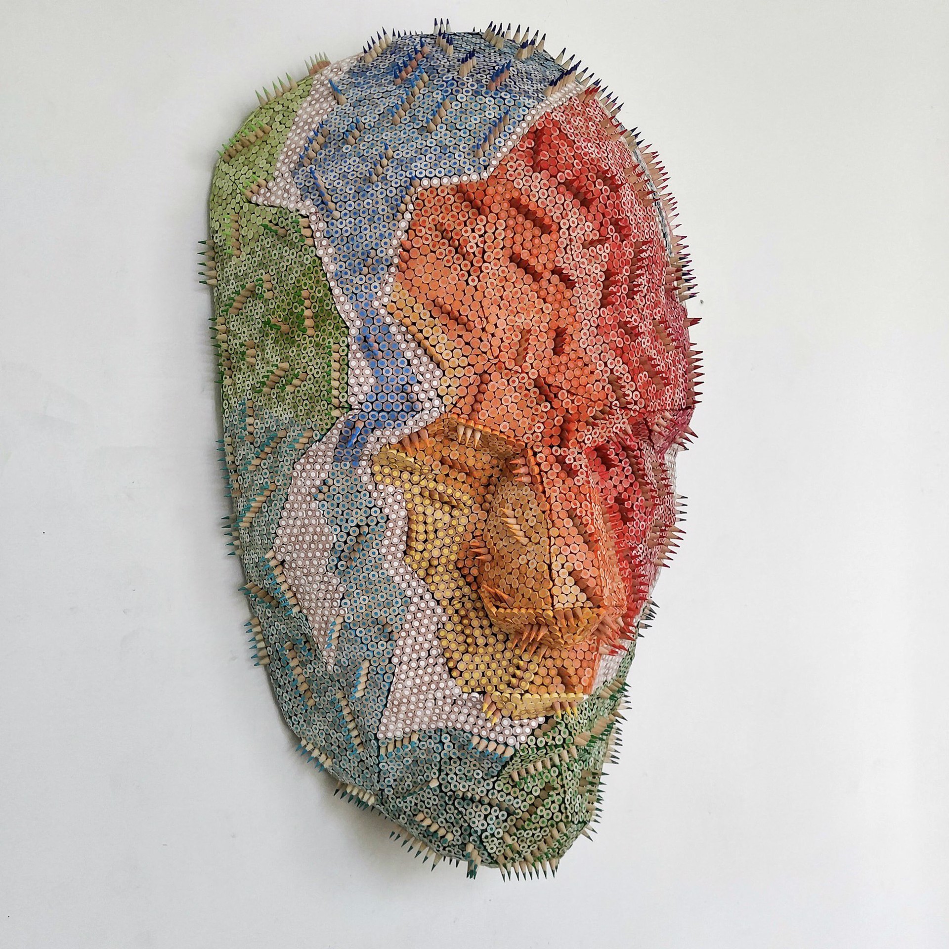 Face of the Earth by Molly Gambardella